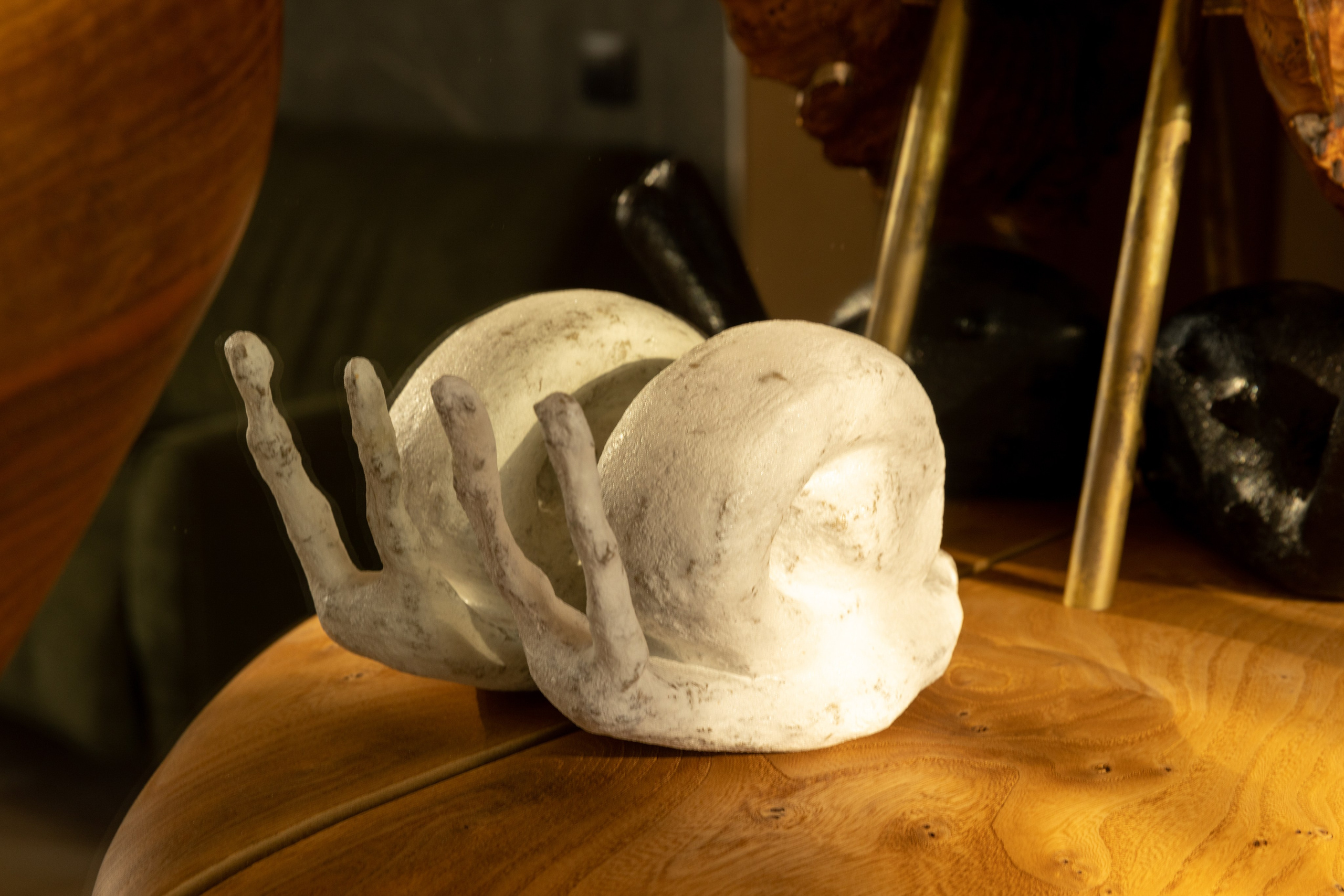 Kseniya Torgashina Designer. Фотограф на Юге России