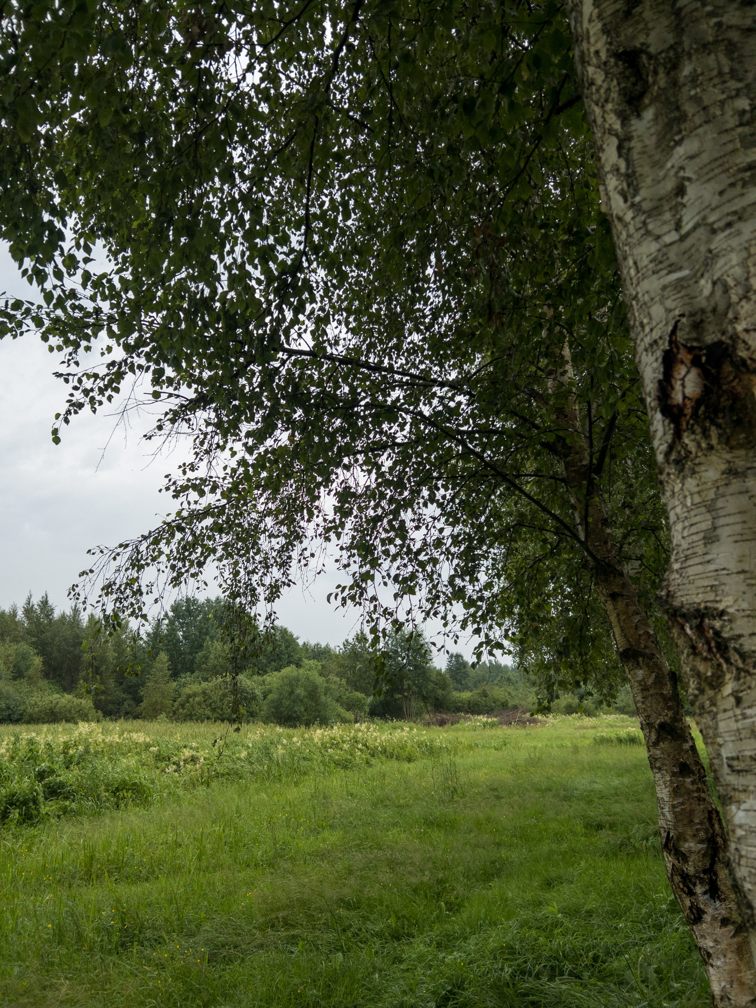 Природа. Фотокружок «Видоискатель» ГБОУ СОШ № 291