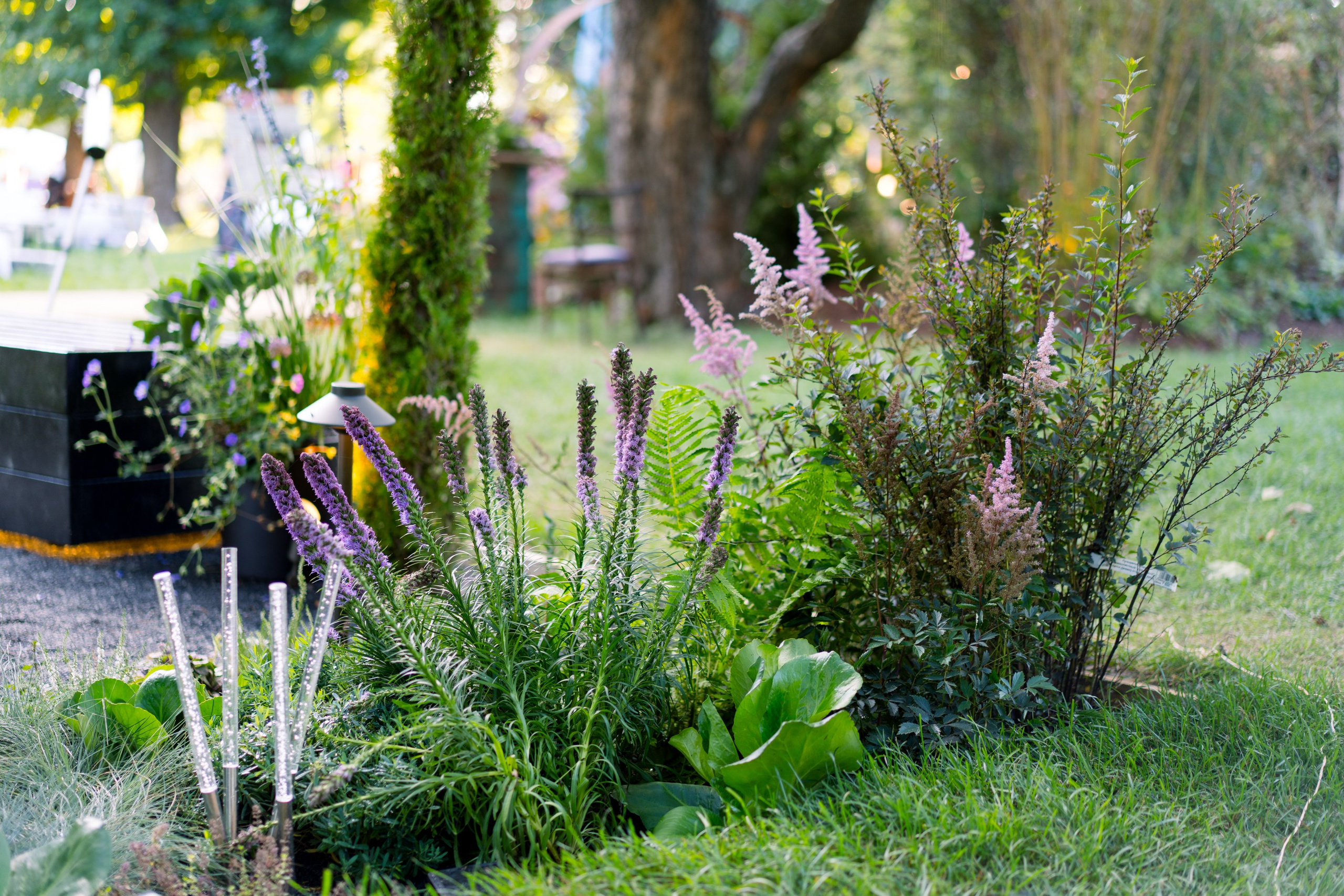 Сад Плеяд. Студия ландшафтного дизайна в Москве. Love My Garden