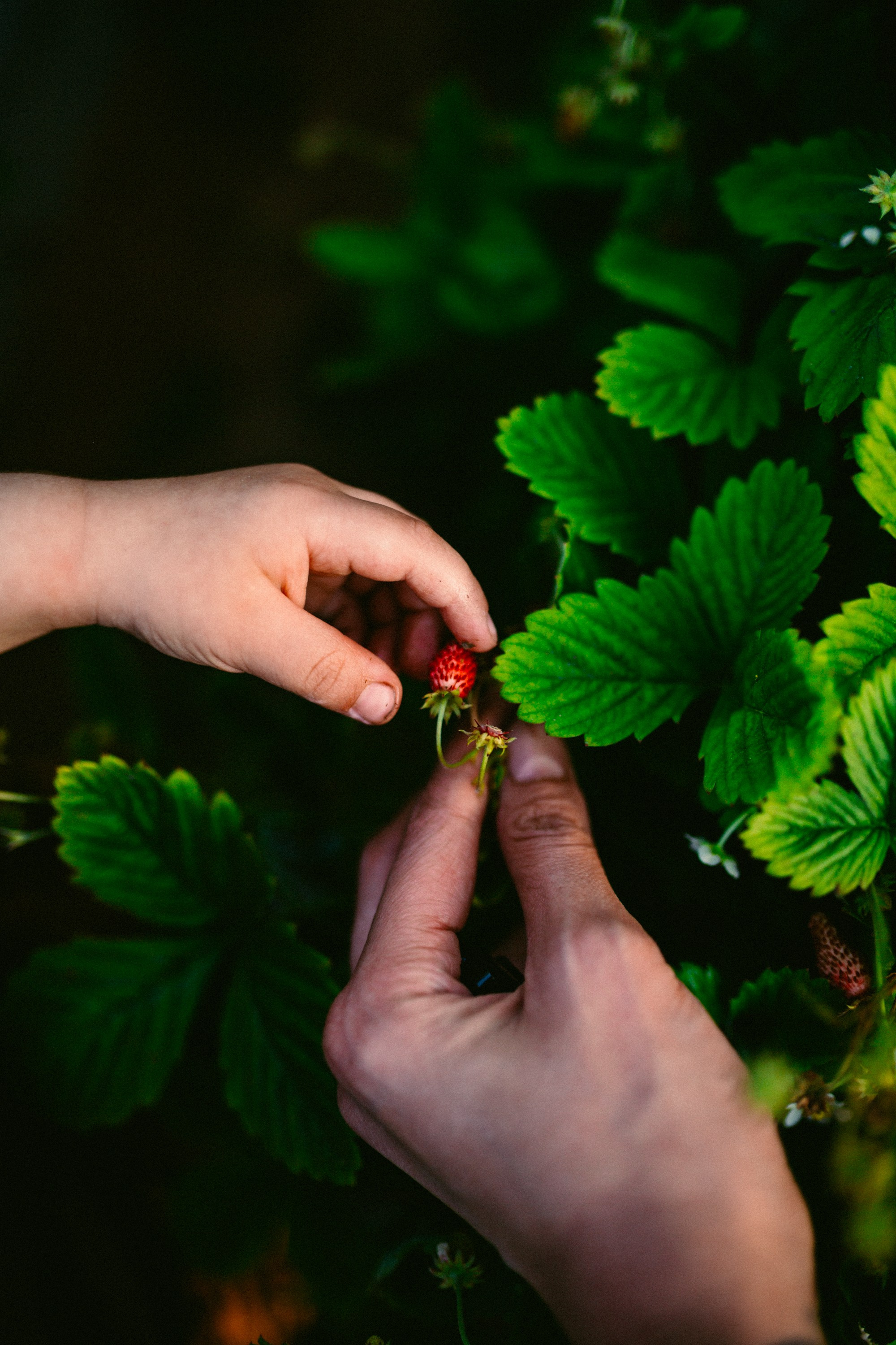 Зачем снимать детей?. Фотограф Оля Батист