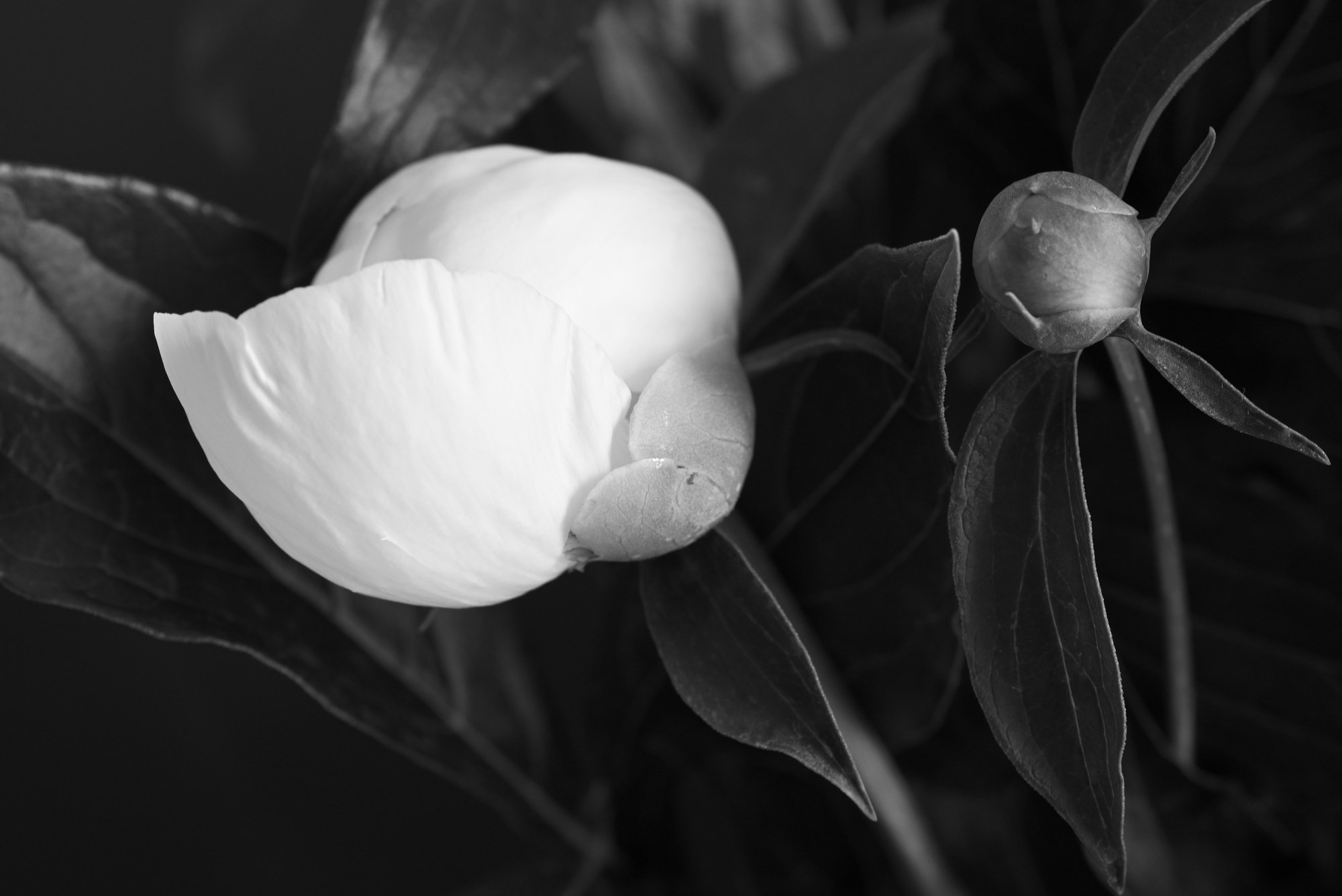 Фотограф Константин Ясинский