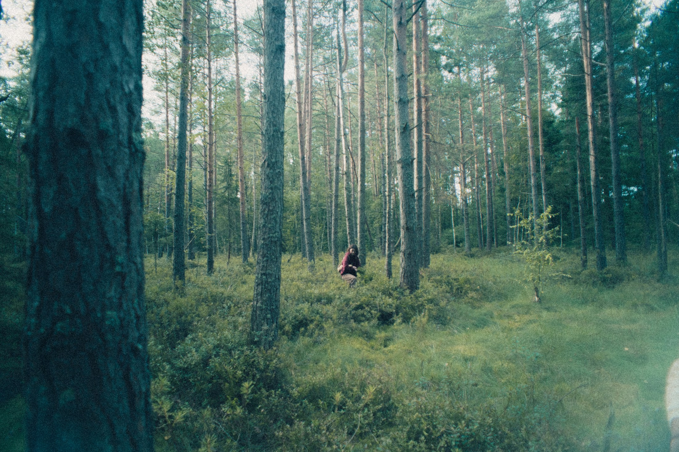 Наощупь. Алиса Аницкая