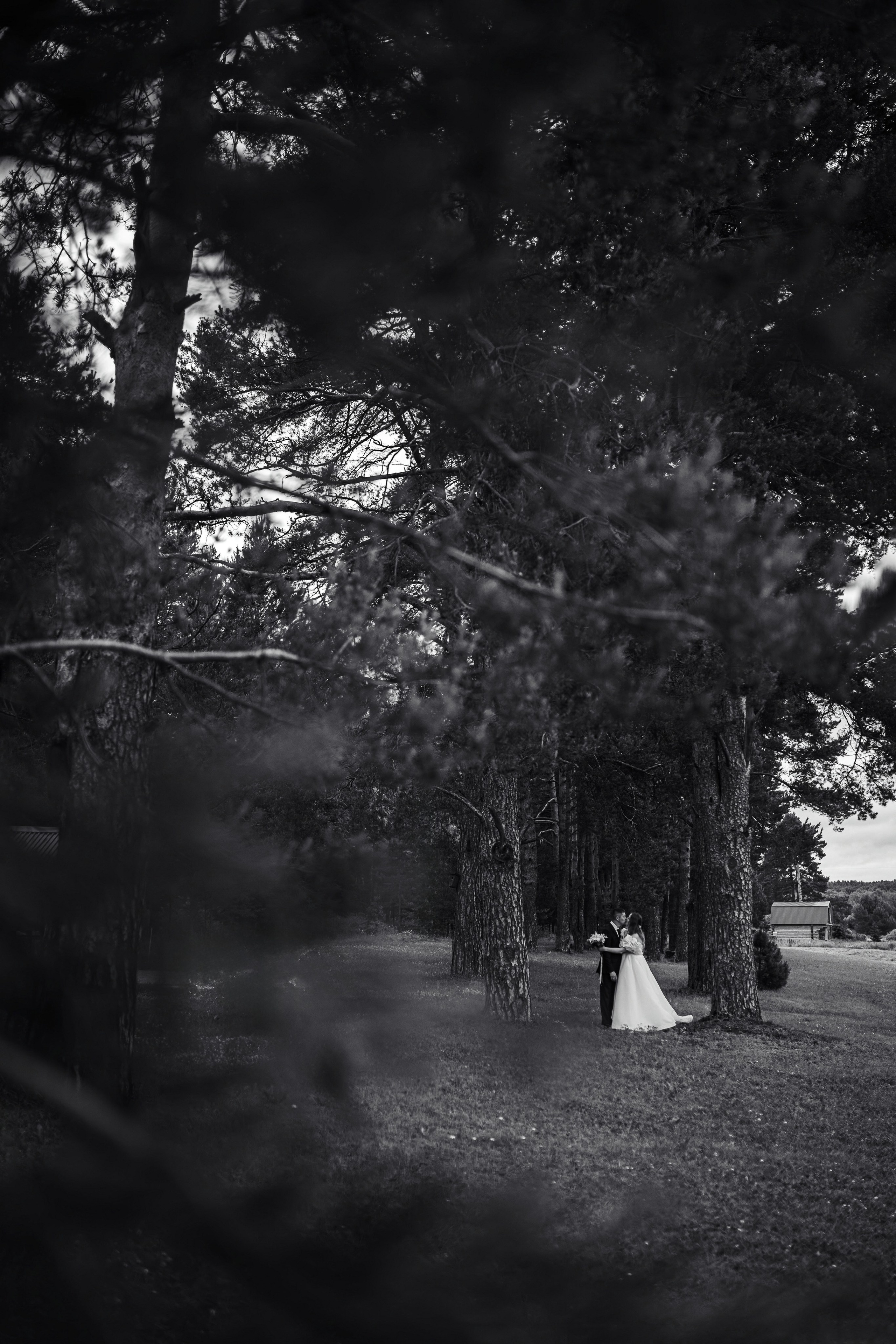 Николай и Екатерина. Фотограф Светлана Голицына