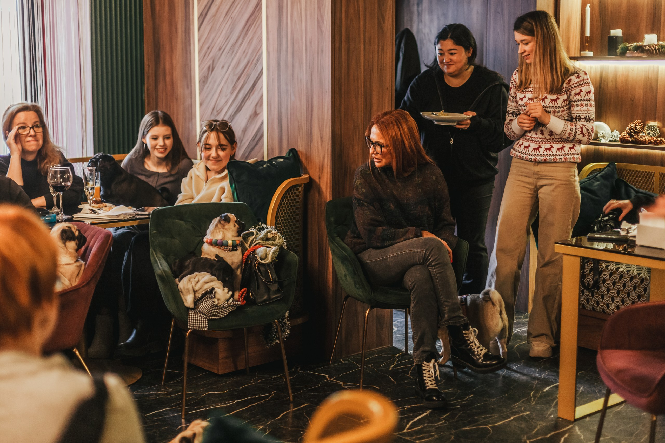 Мопсовстреча 02.12.2023. Фотограф-анималист Татьяна Степанова