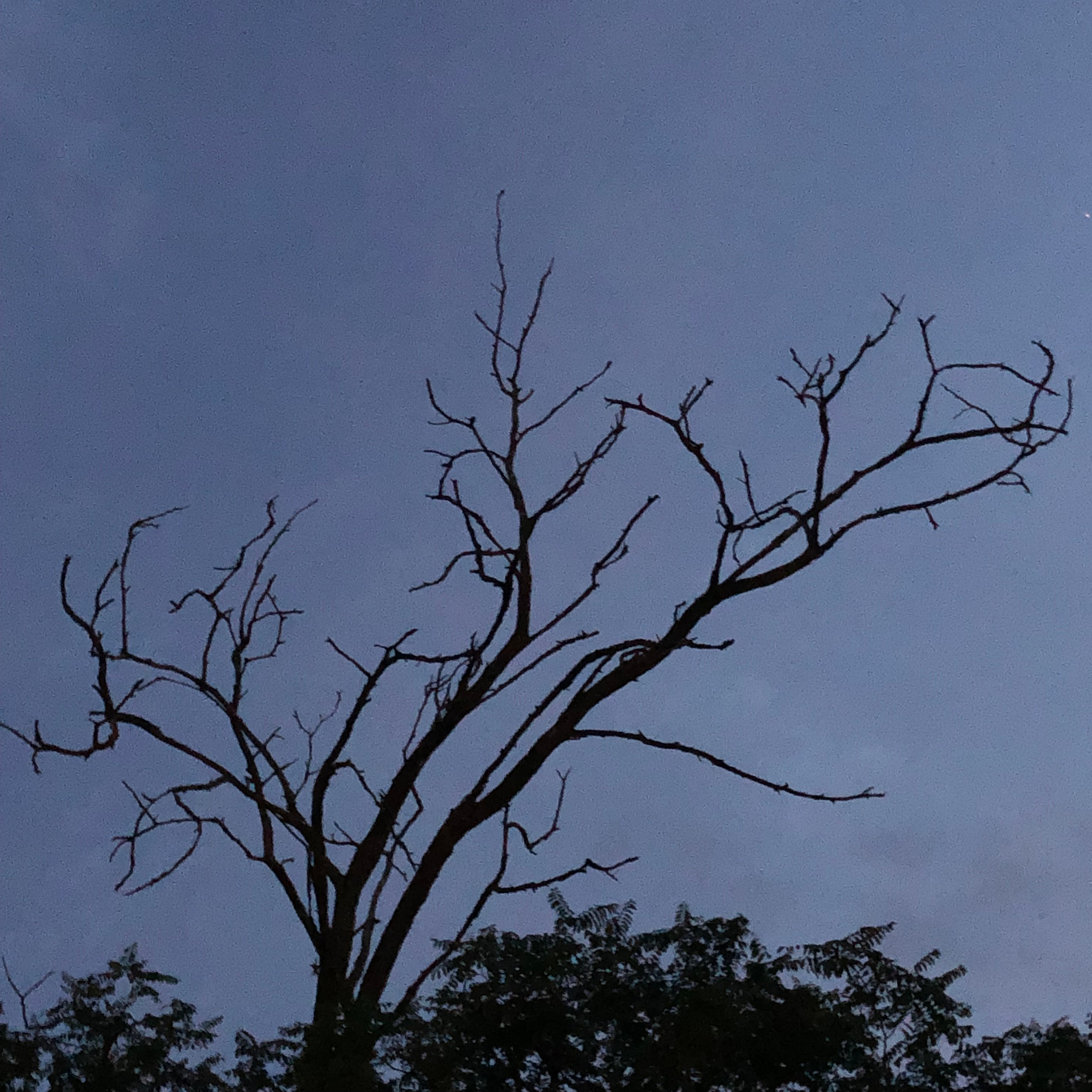 Визуальный дневник. Портретный фотограф в Москве Гахраманова Екатерина