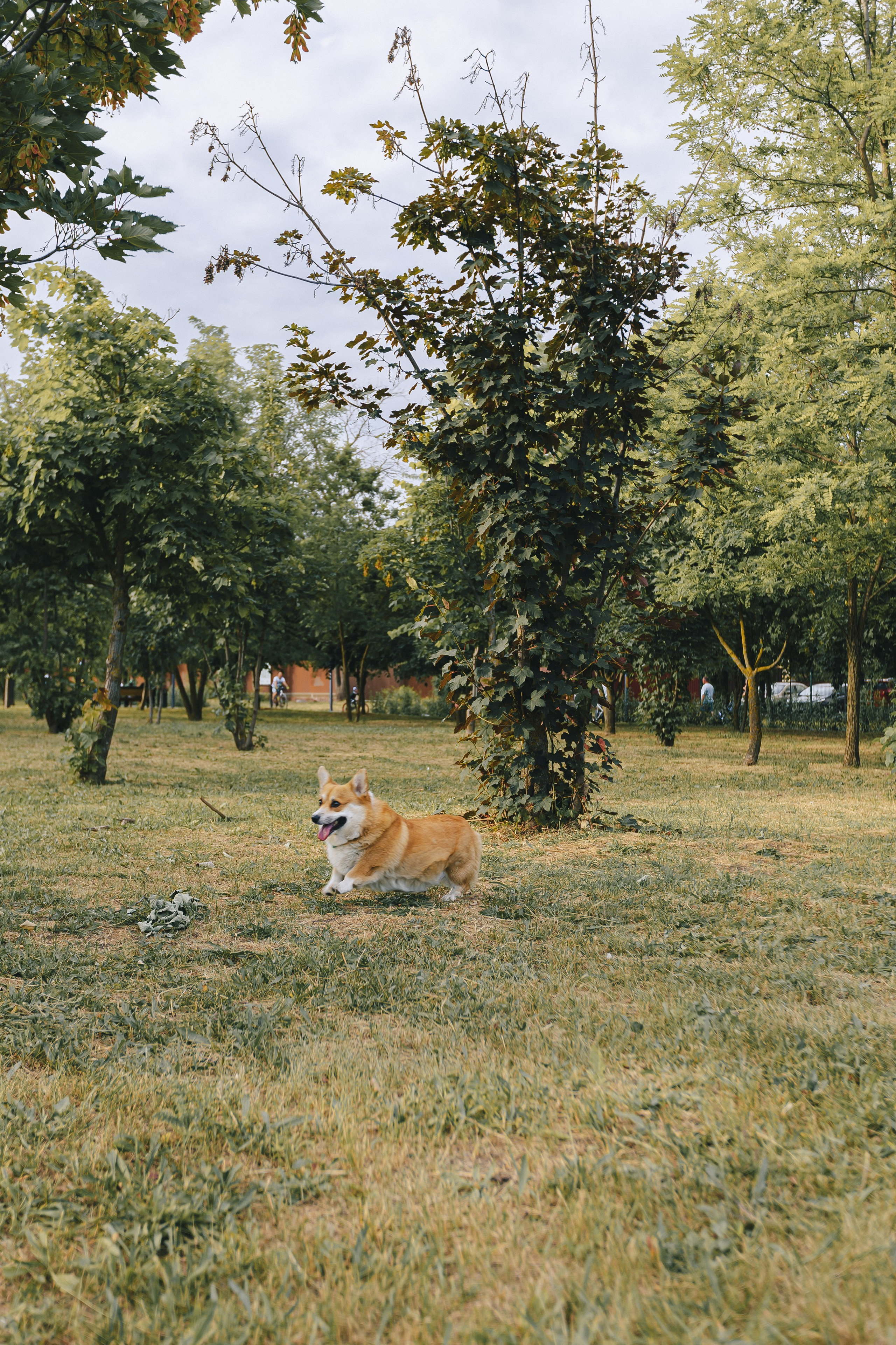 Рита, Денис и Кирилл. Фотограф Таганрог Любимая Надя