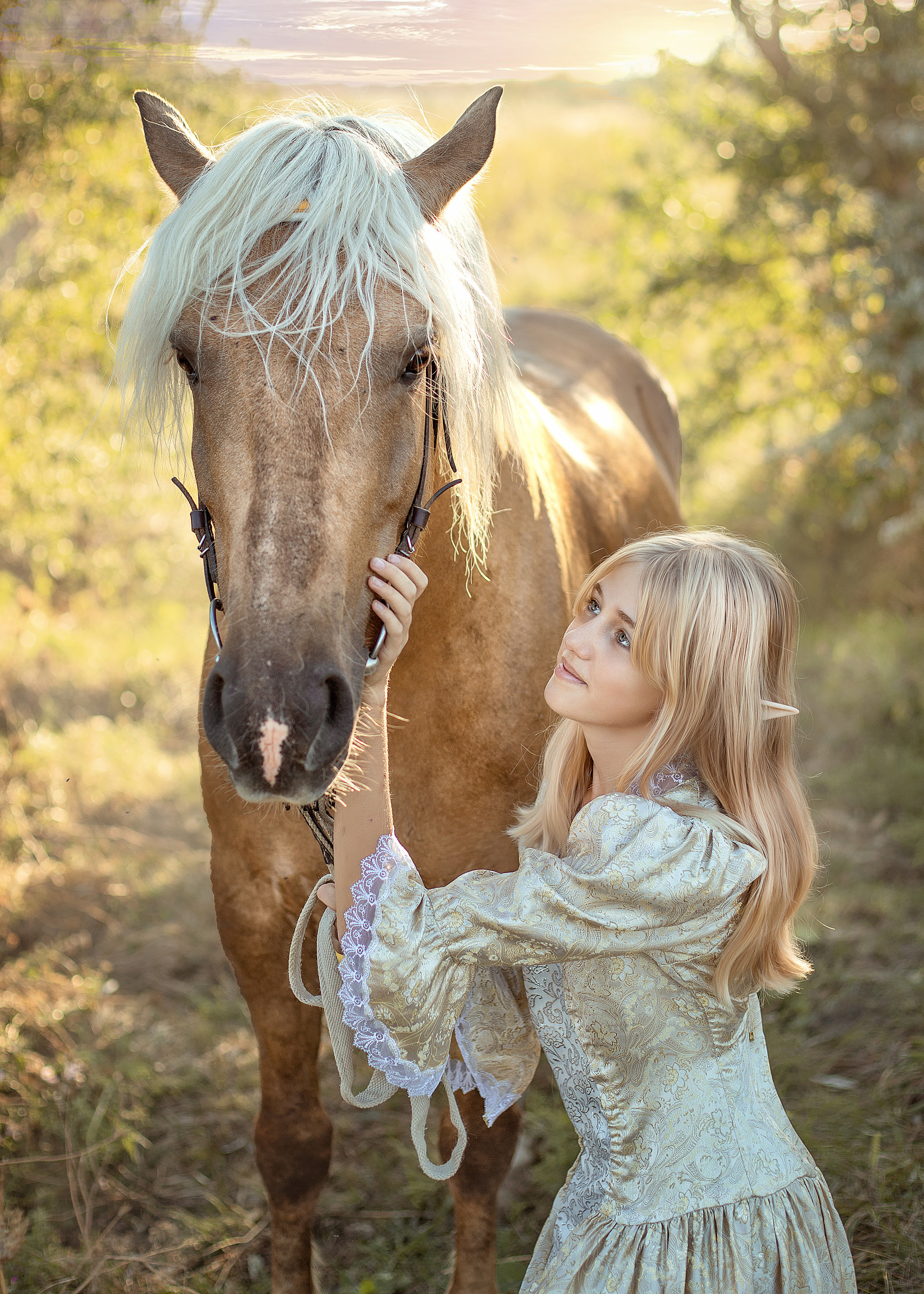 Конный двор. Фотограф в Волгодонске Елена Орешкина
