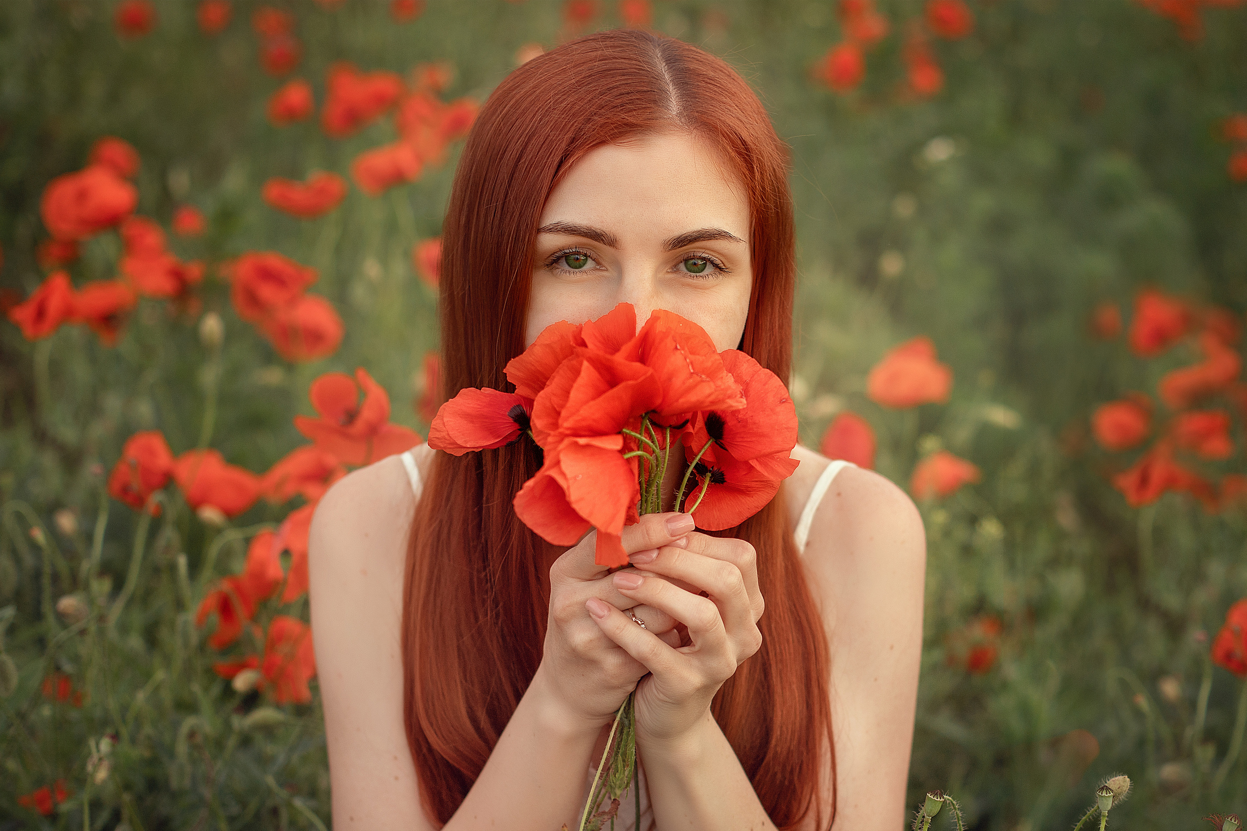 Маки. Фотограф в Волгодонске Елена Орешкина