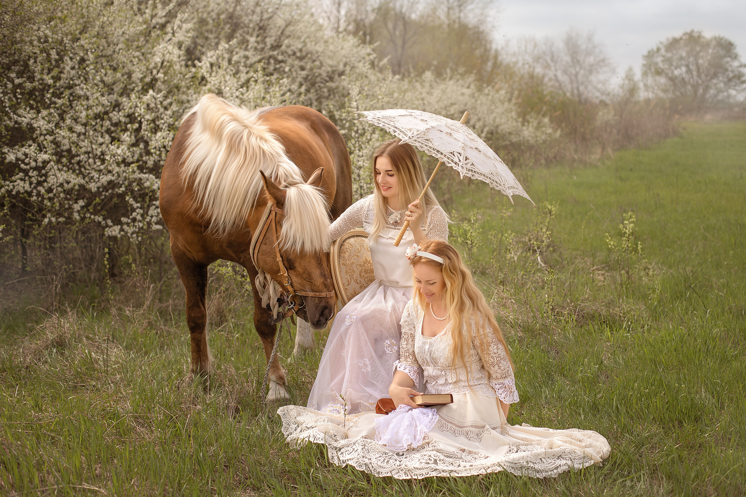 Конный двор. Фотограф в Волгодонске Елена Орешкина