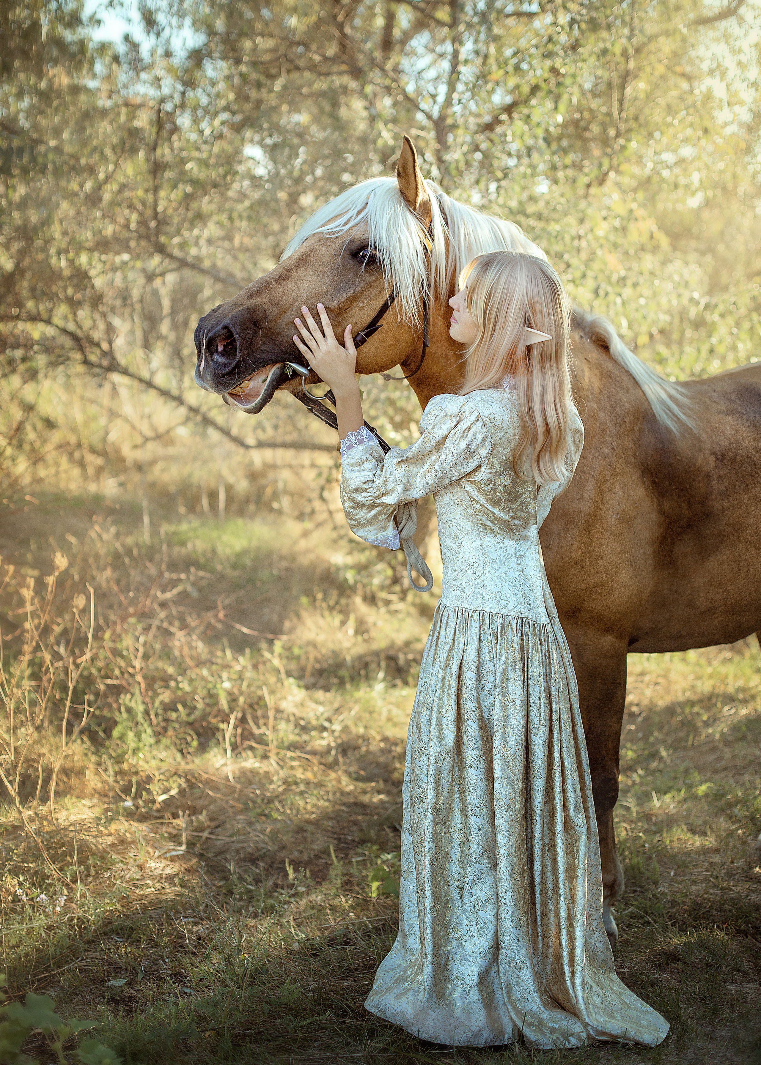 Конный двор. Фотограф в Волгодонске Елена Орешкина