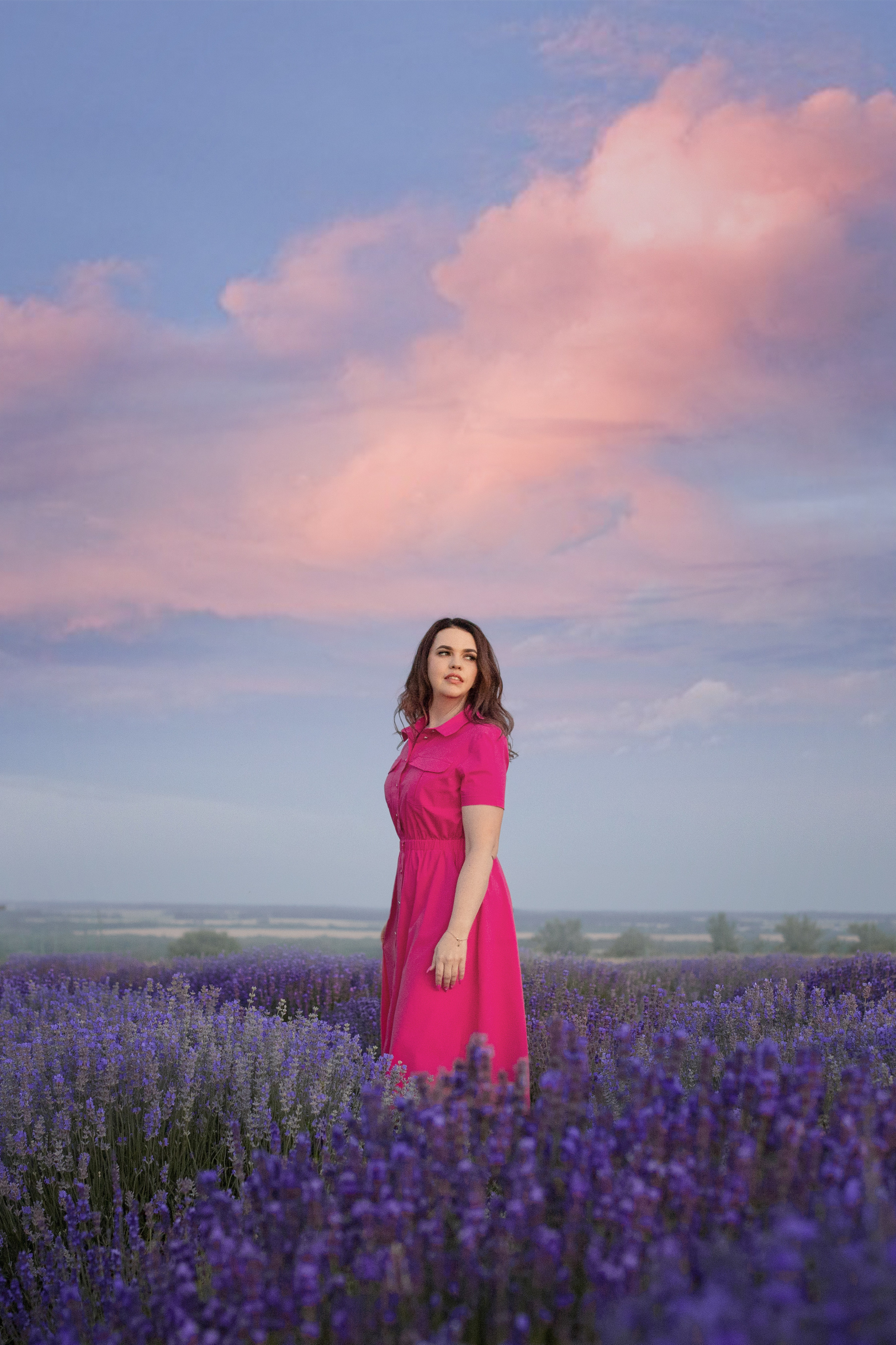 Лавандовые поля. Фотограф в Волгодонске Елена Орешкина