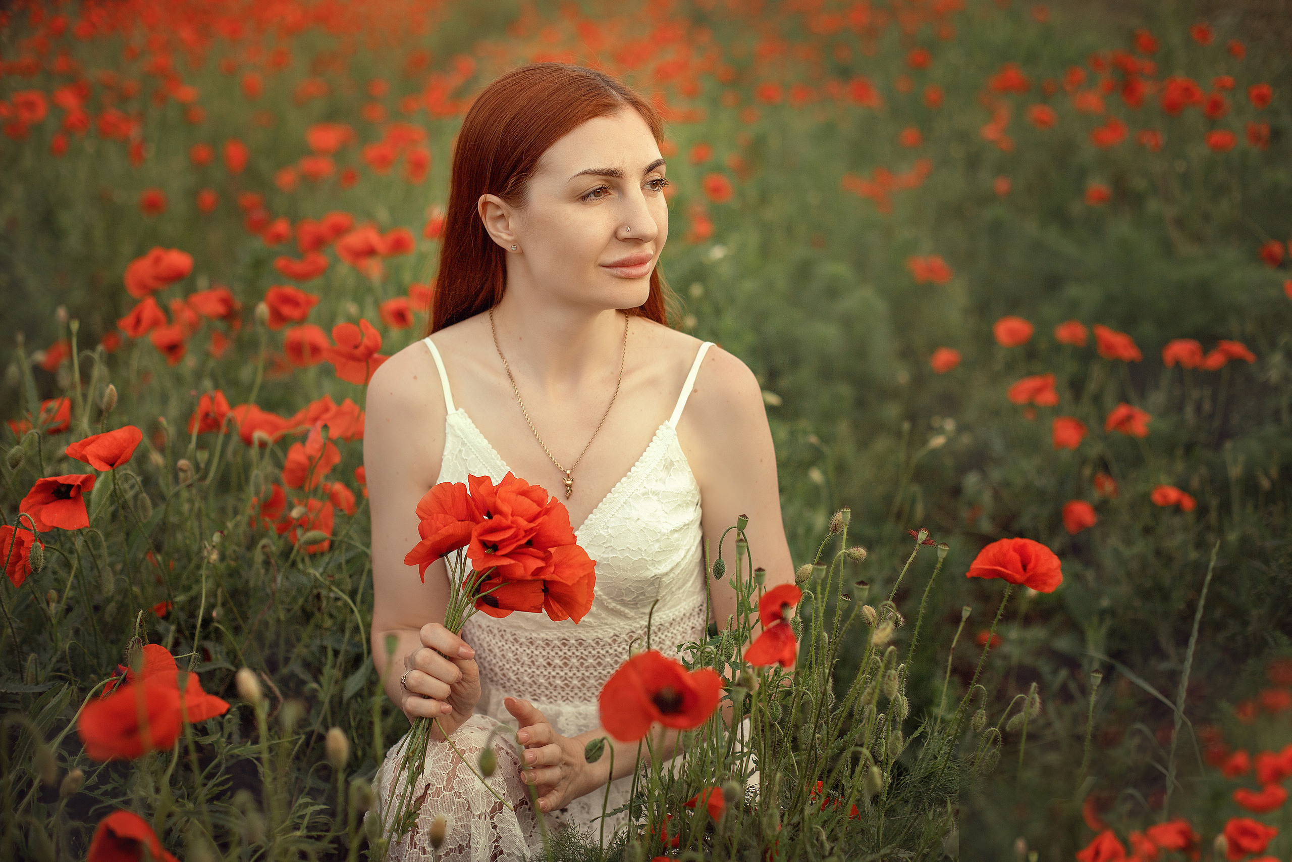 Маки. Фотограф в Волгодонске Елена Орешкина