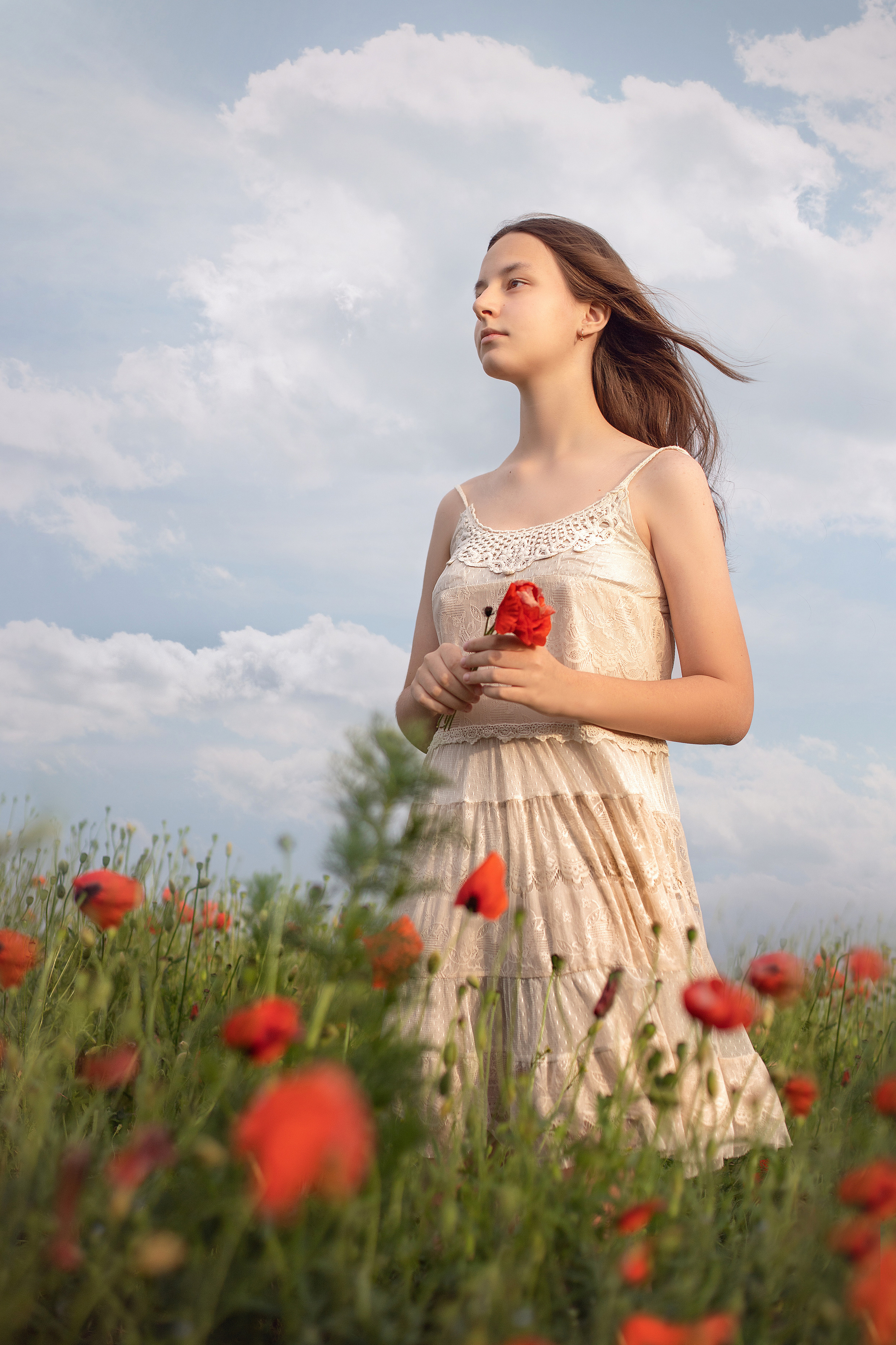 Маки. Фотограф в Волгодонске Елена Орешкина