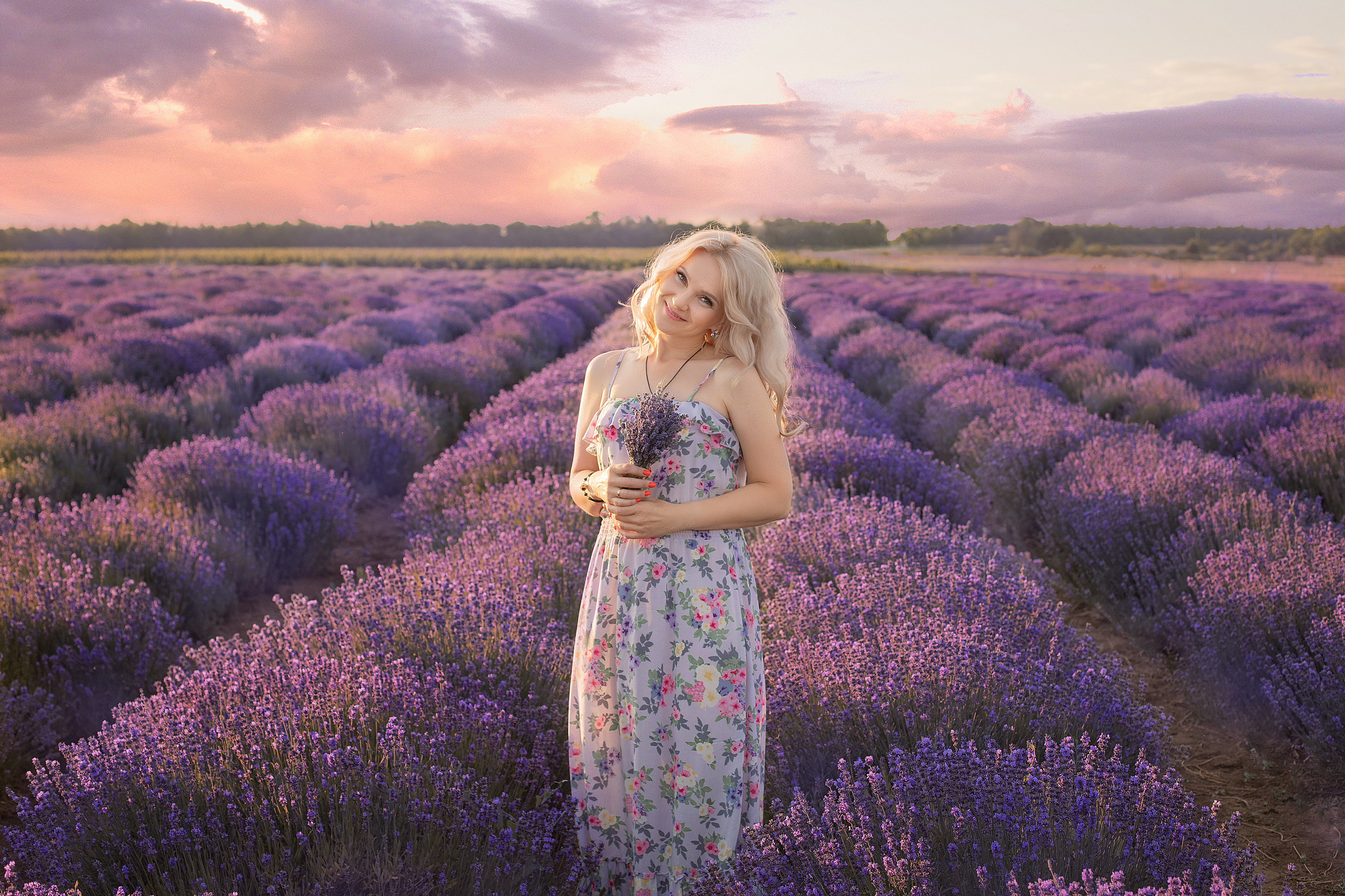 Лавандовые поля. Фотограф в Волгодонске Елена Орешкина