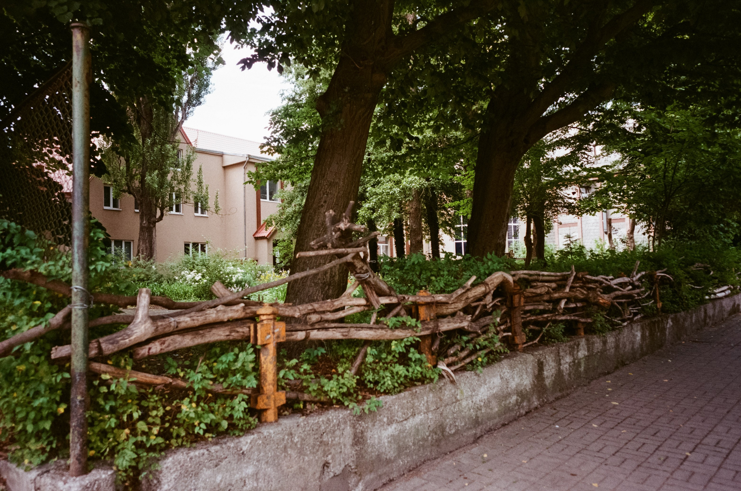 Калиниградский стрит. Новая пленка, Ricoh GR-10 и любимое кафе. Фотограф-документалист Мария Осокина