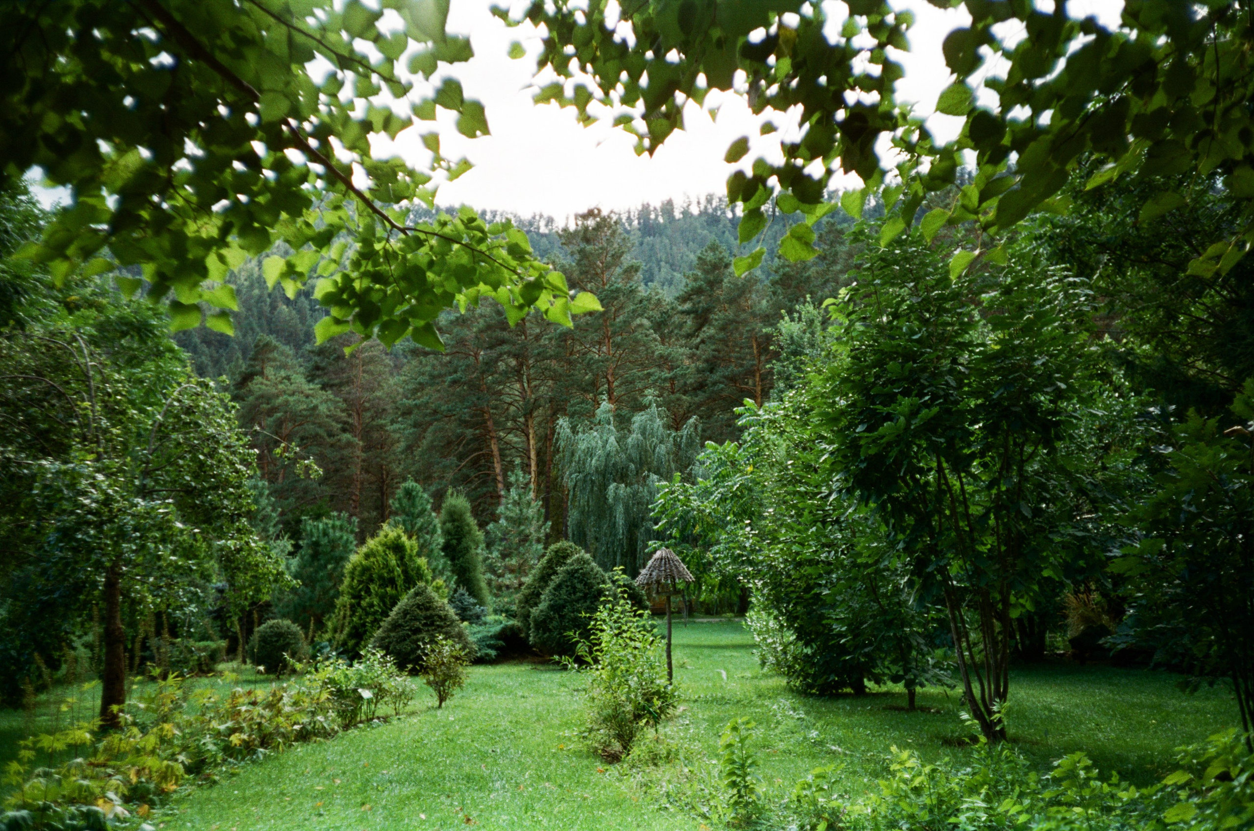Шаманский Алтай. Фотограф-документалист Мария Осокина