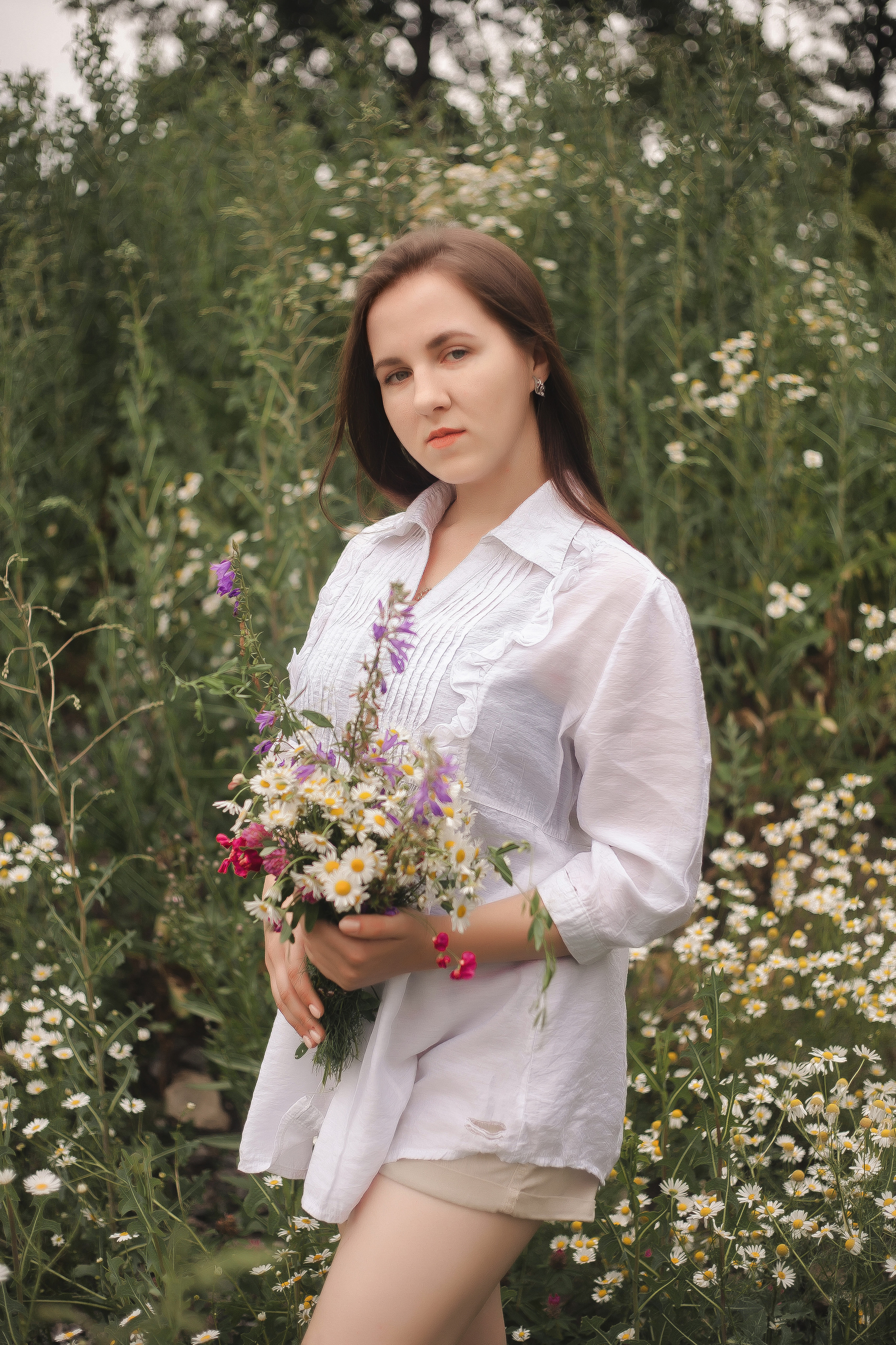 Майские ромашки. Фотограф Роман Витвицкий