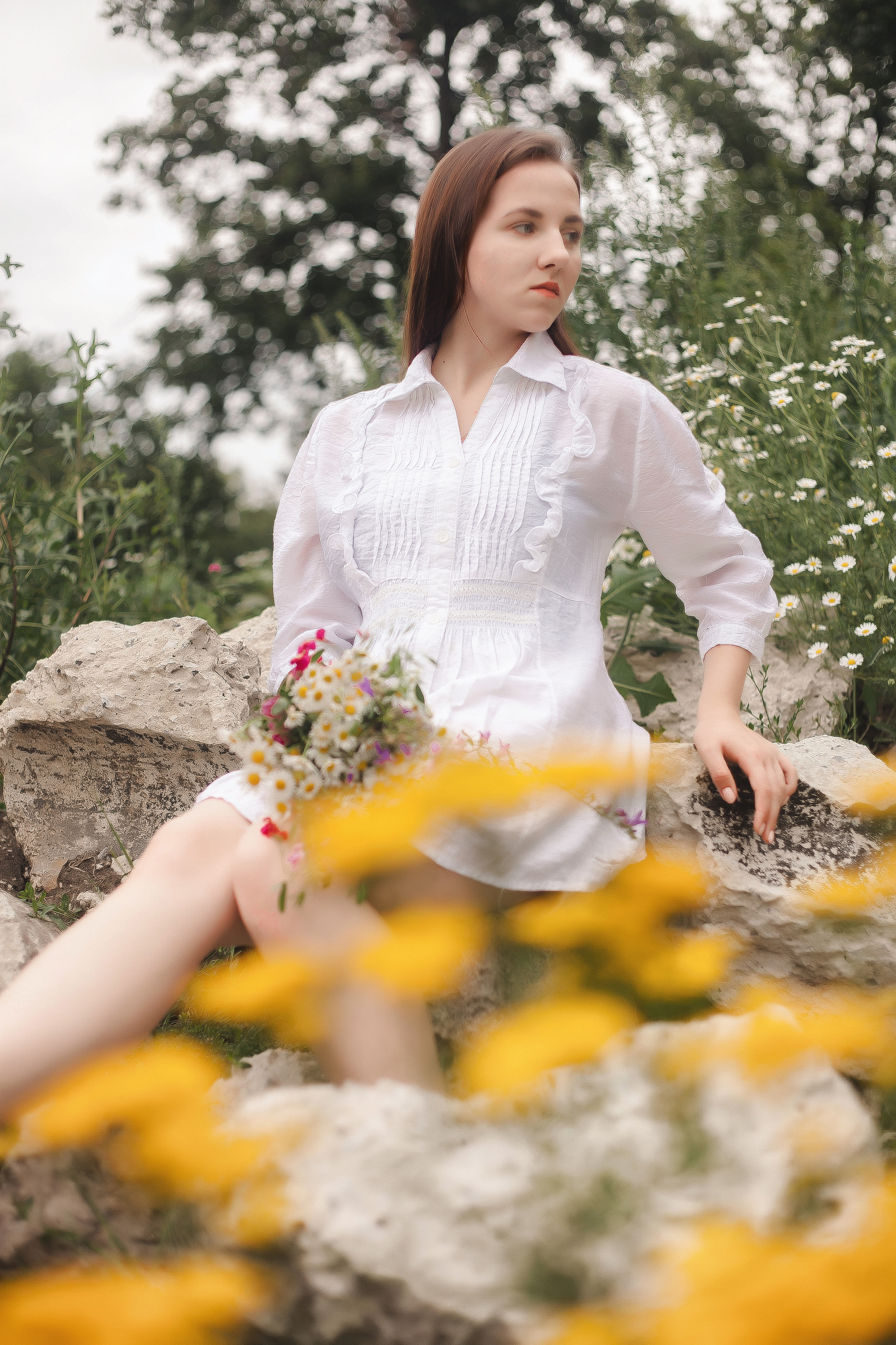 Майские ромашки. Фотограф Роман Витвицкий