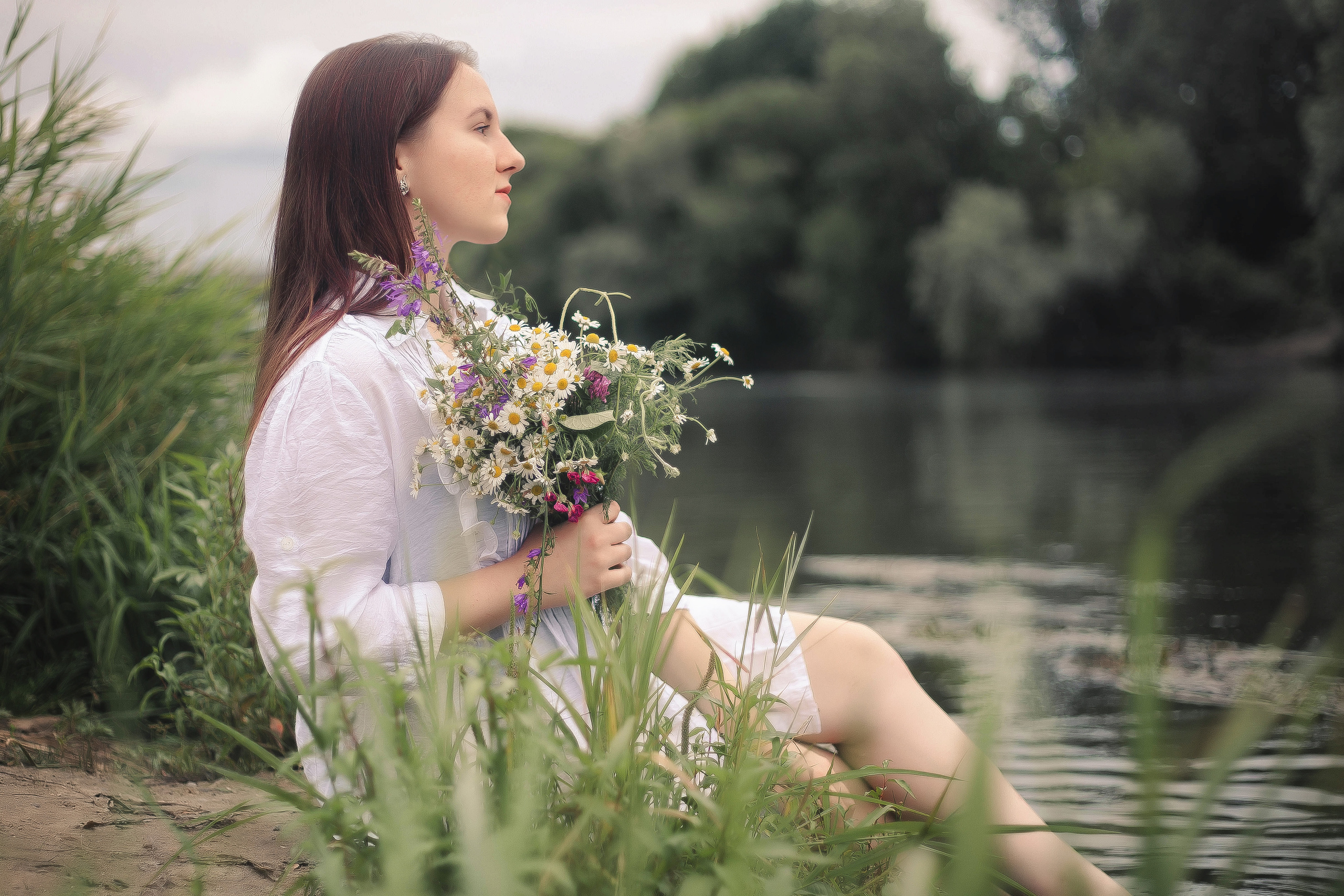 Майские ромашки. Фотограф Роман Витвицкий