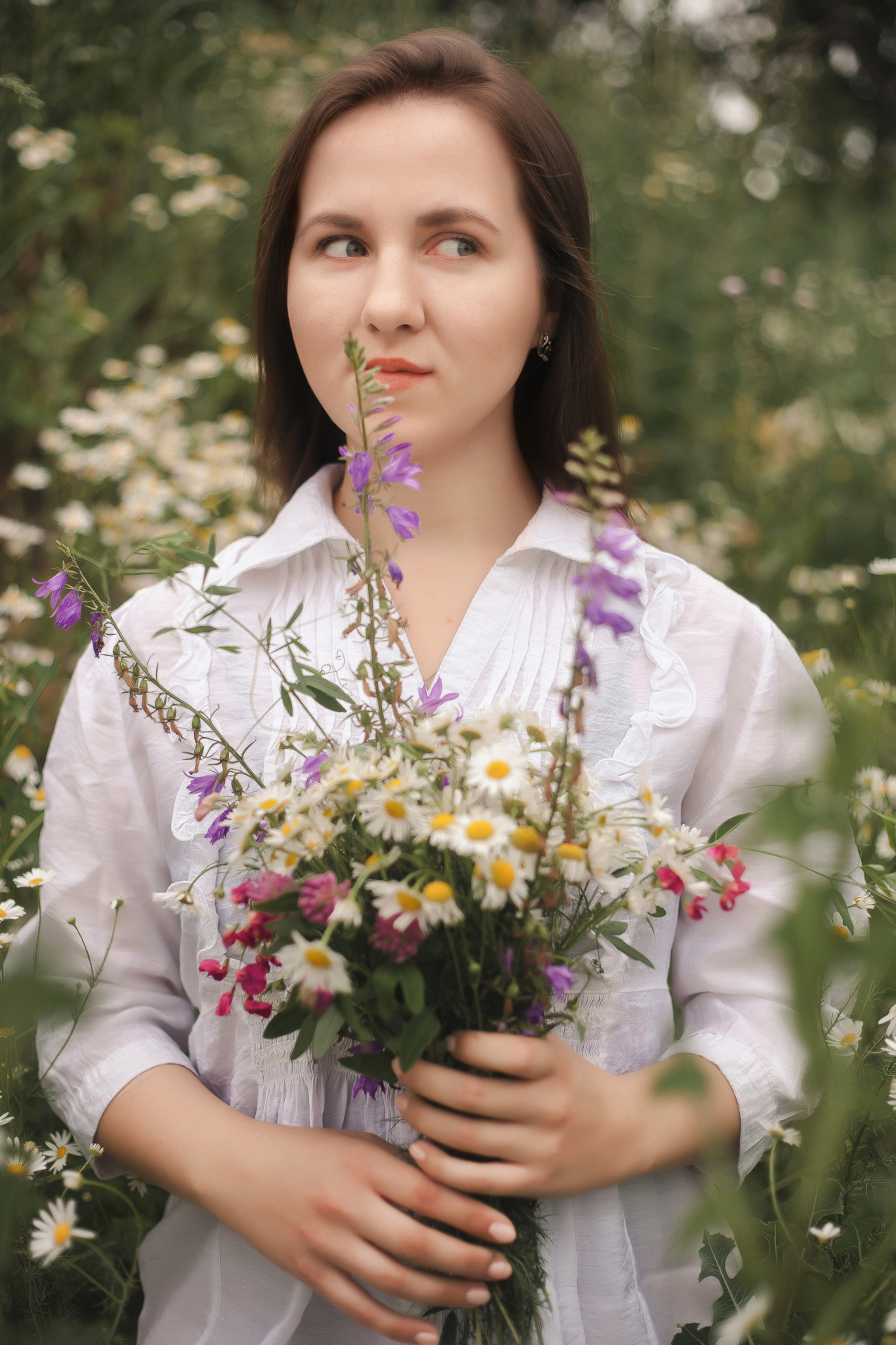 Майские ромашки. Фотограф Роман Витвицкий