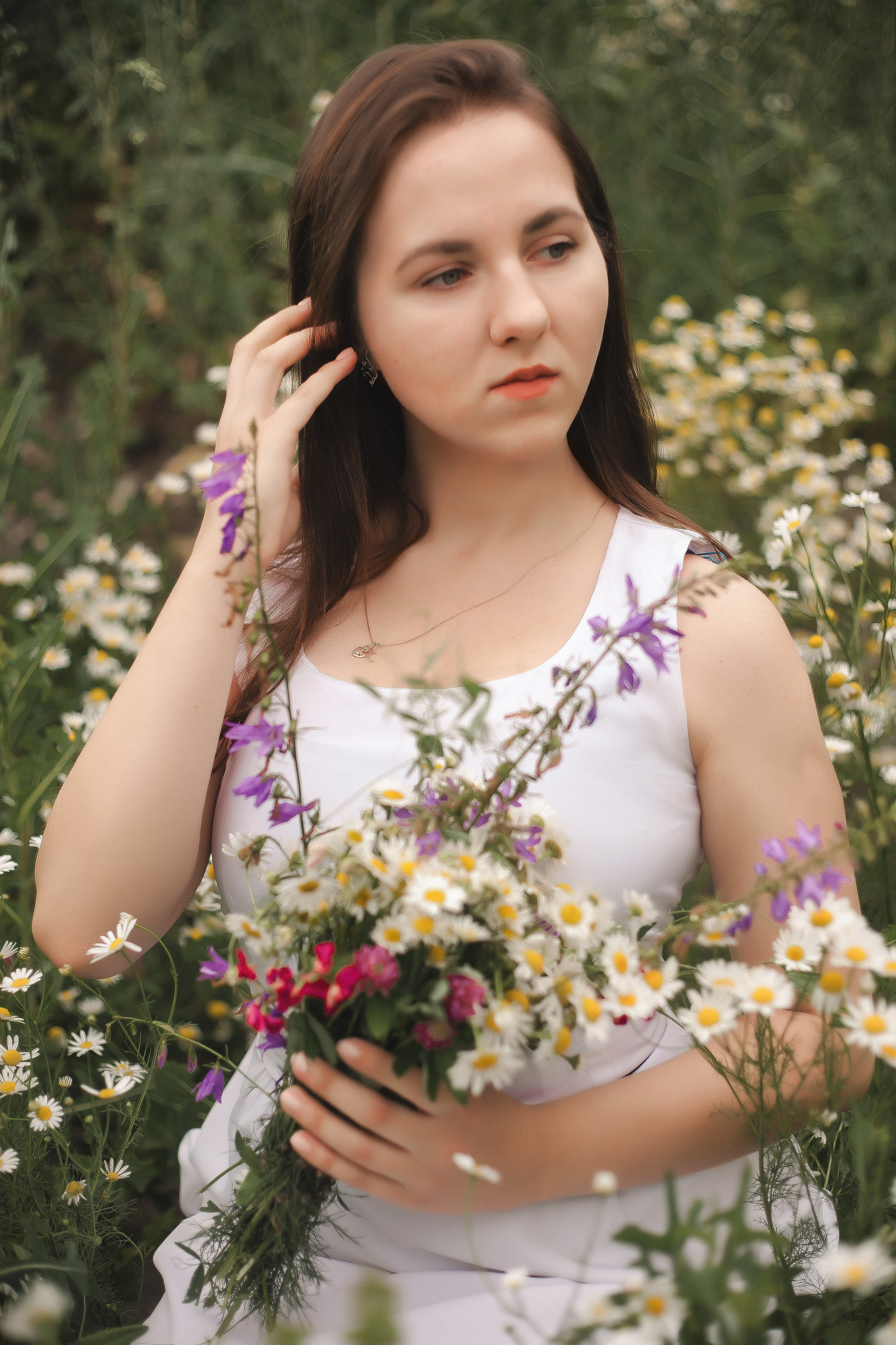 Майские ромашки. Фотограф Роман Витвицкий