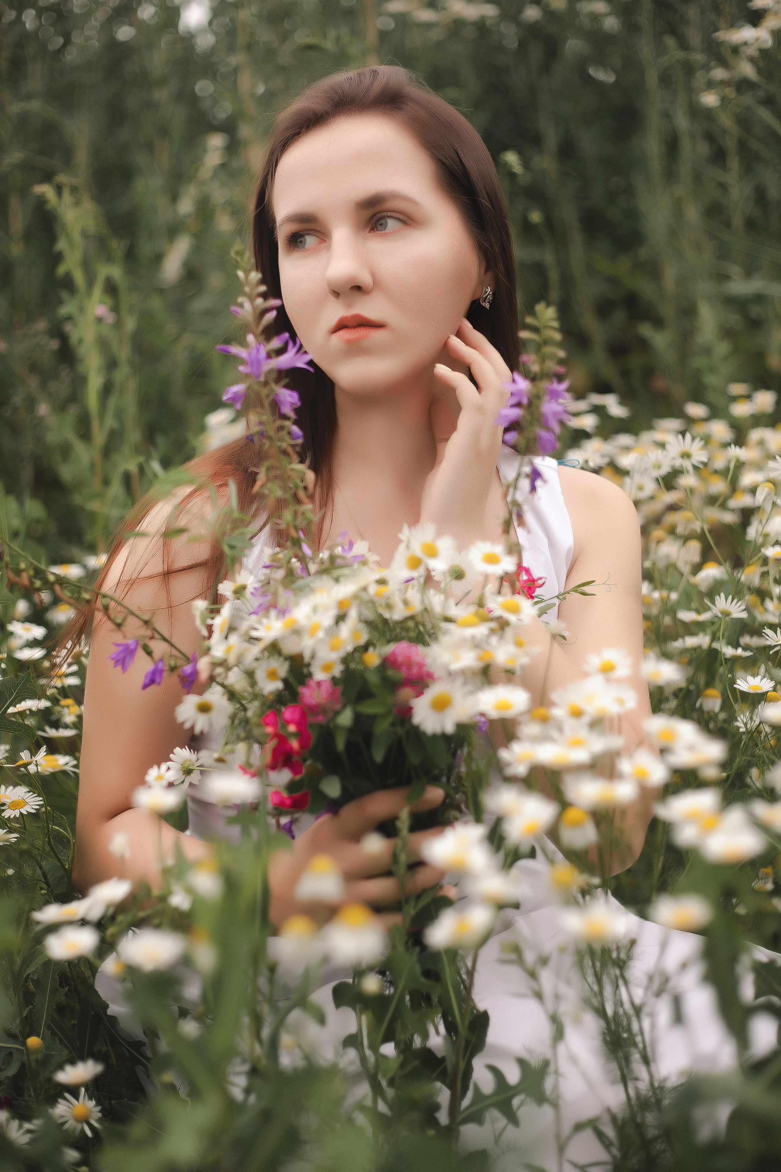 Майские ромашки. Фотограф Роман Витвицкий