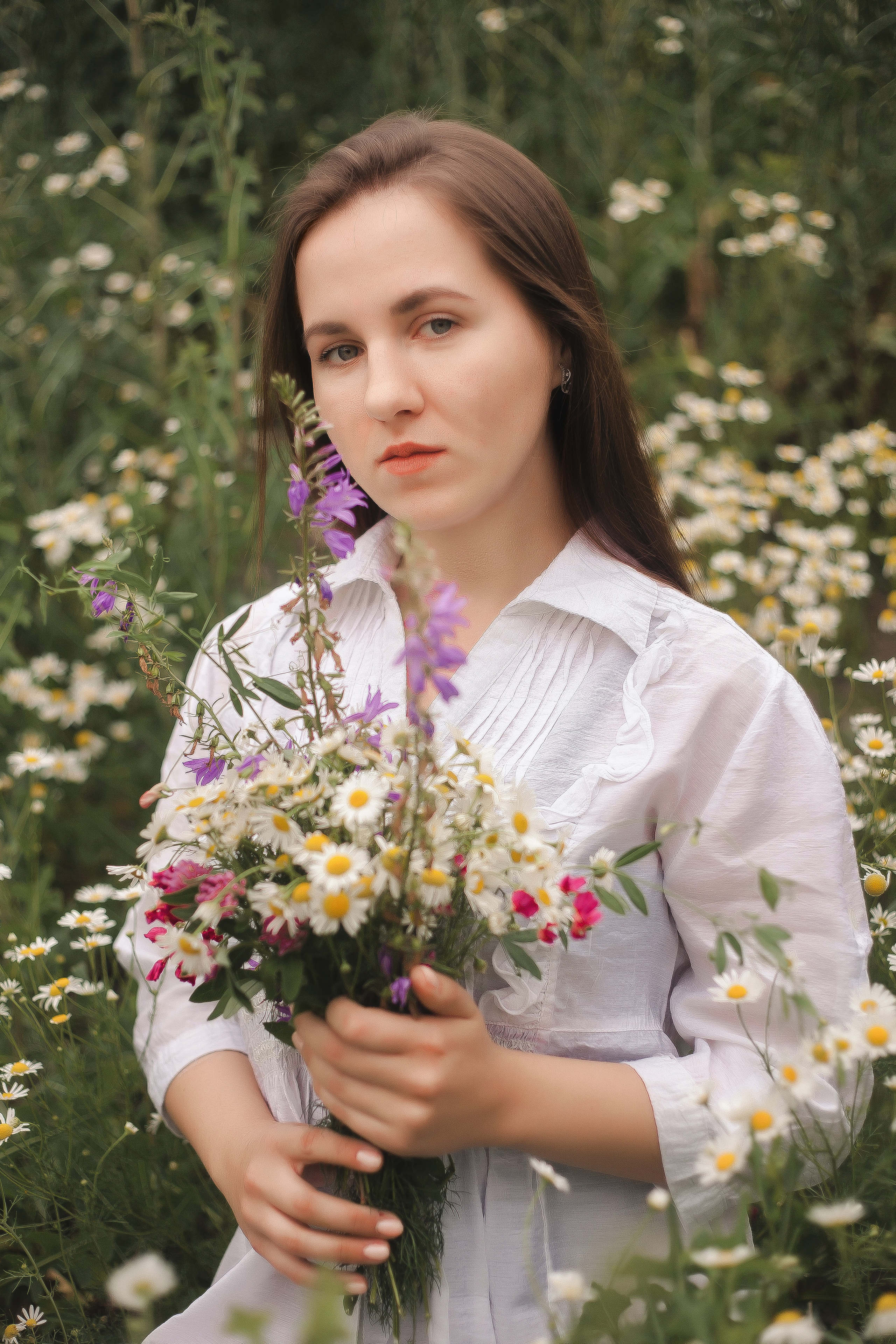 Майские ромашки. Фотограф Роман Витвицкий