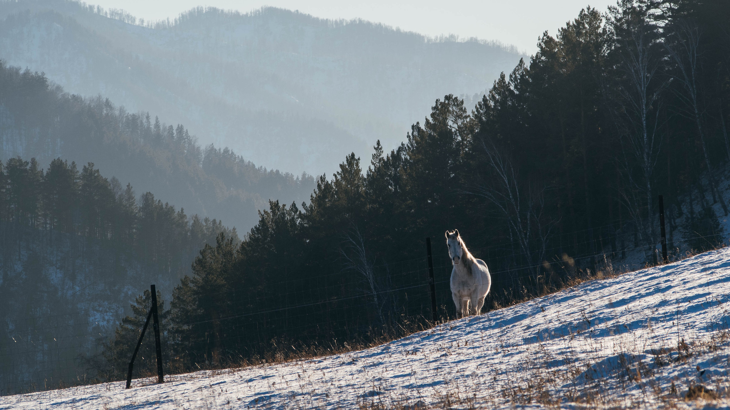 Путешествия. Anastasiia Kron