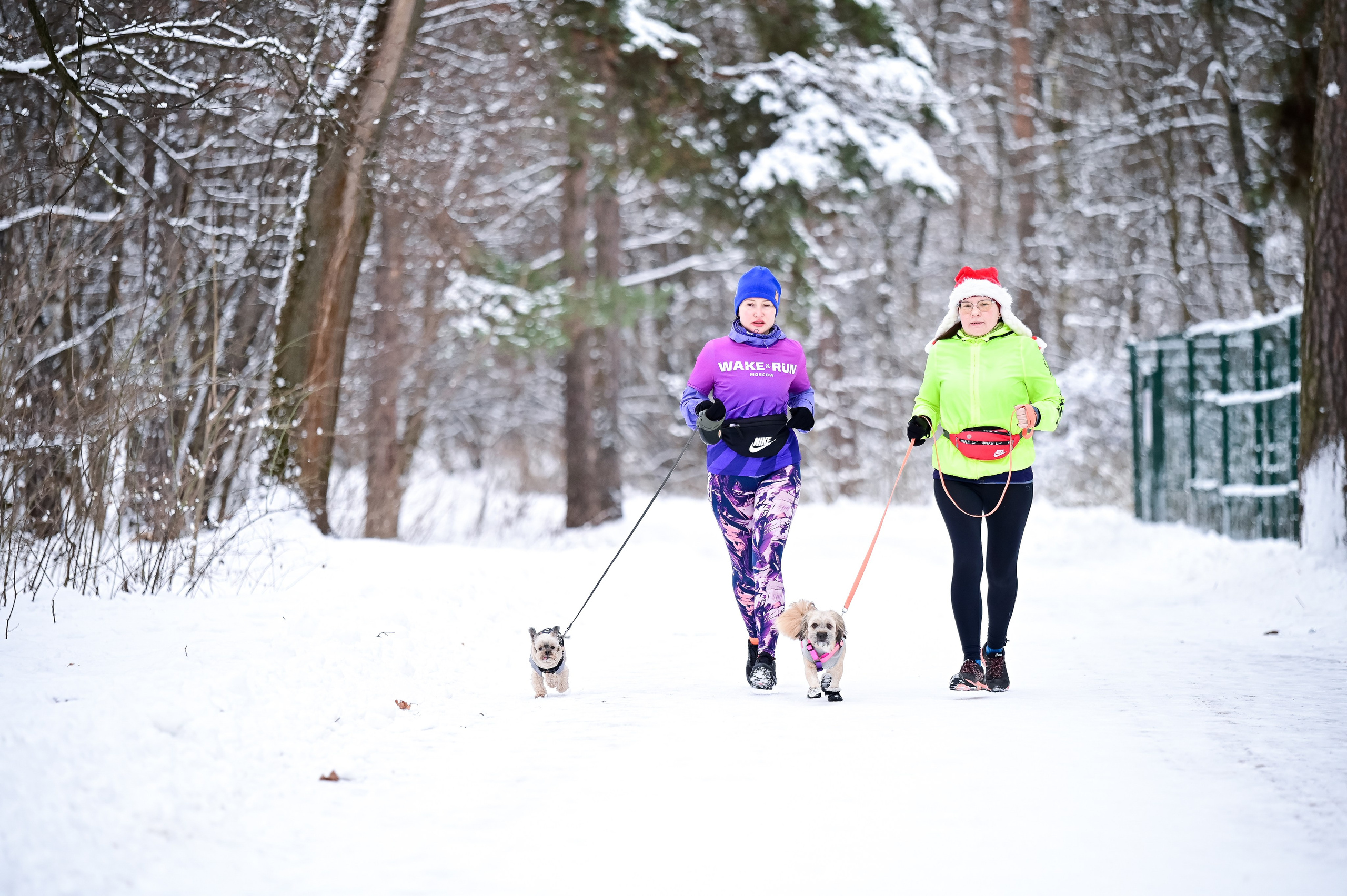Новогодний S95 Кузьминки (01.01.25). Фотограф | Ирина Гамзинова | Москва