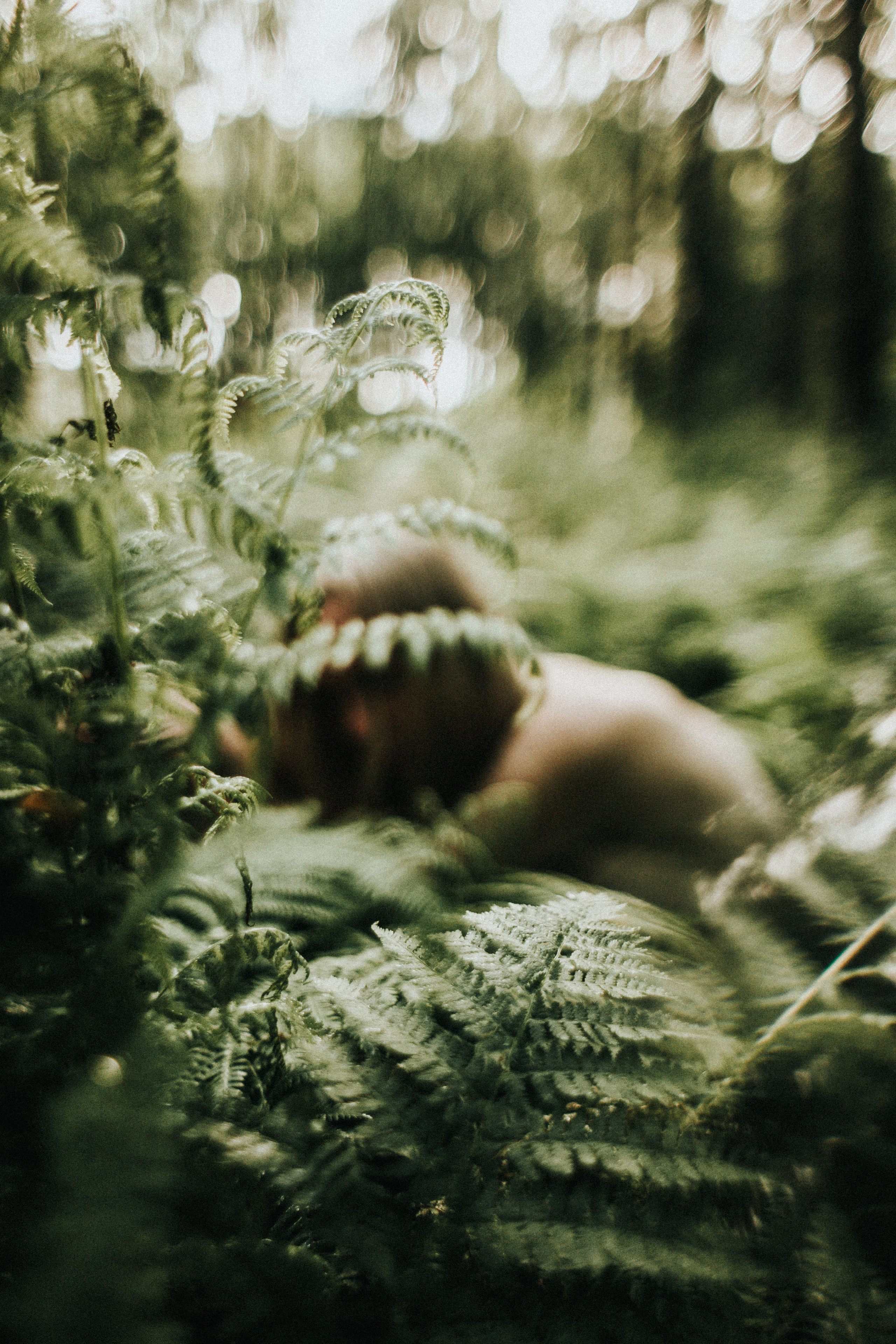 Ирина. Папоротник. Фотограф в Нижнем Новгороде