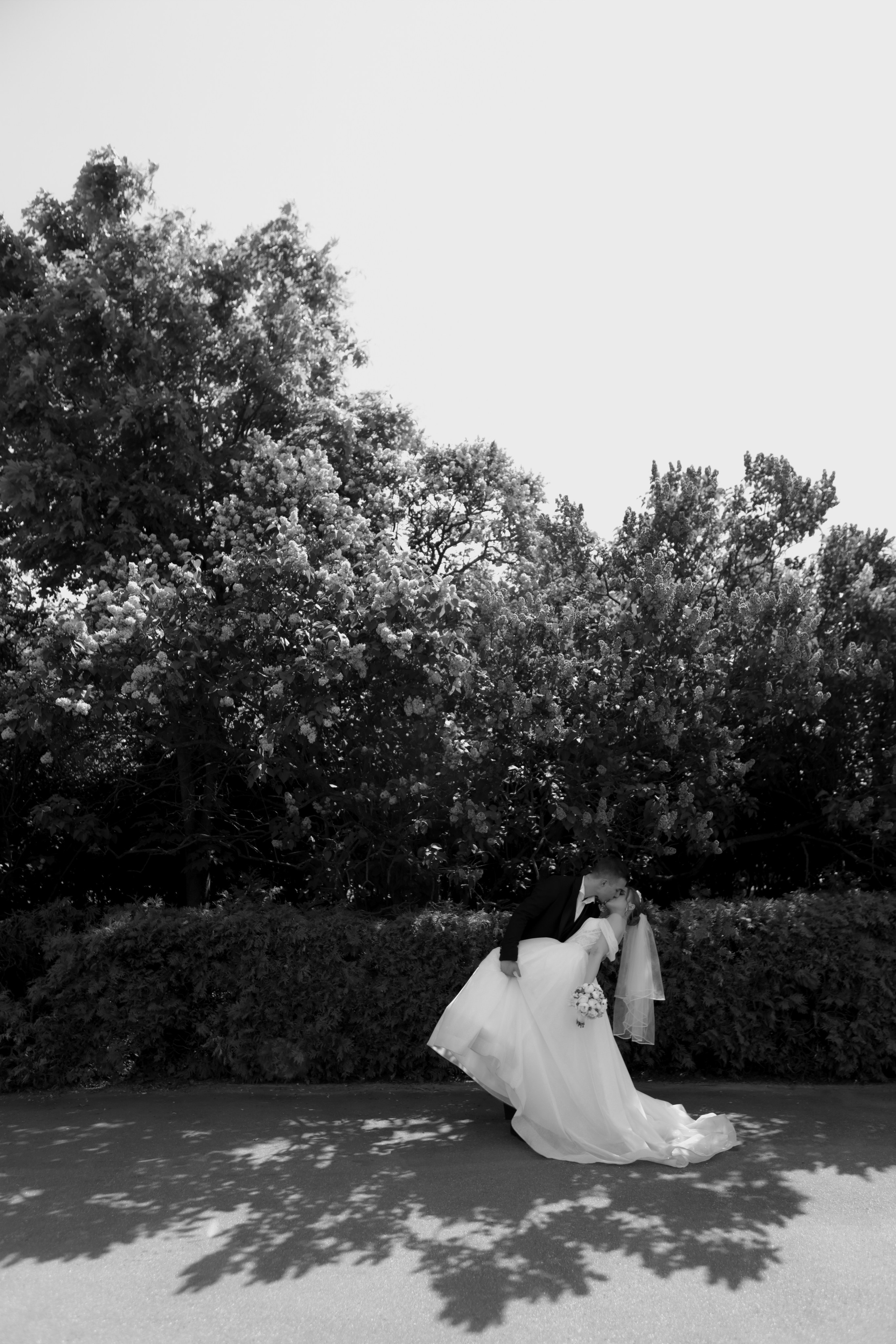 Свадьба Артёма и Ольги. Фотограф Кольчугино/Владимир/Москва Елизавета Иода