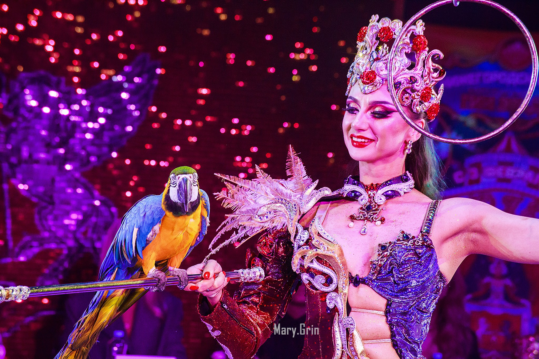 Цирк Гии Эрадзе. Детский и семейный фотограф, фотограф мероприятий Нижний Новгород