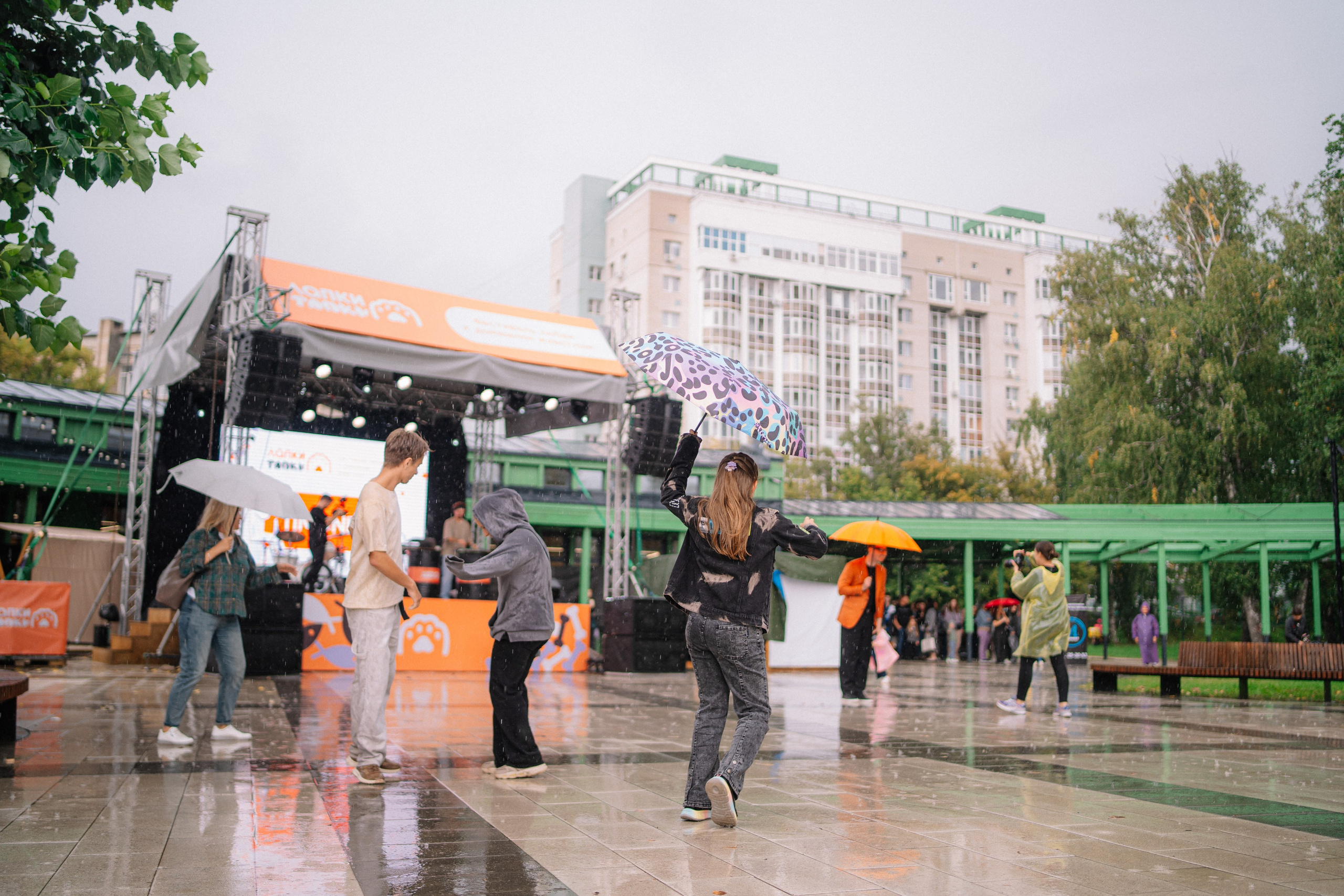 Фотоотчет ЛАПКИ ТАПКИ в Барнауле. Репортажный (Event) фотограф в Барнауле | Даниил Маркин | Качество и вайб