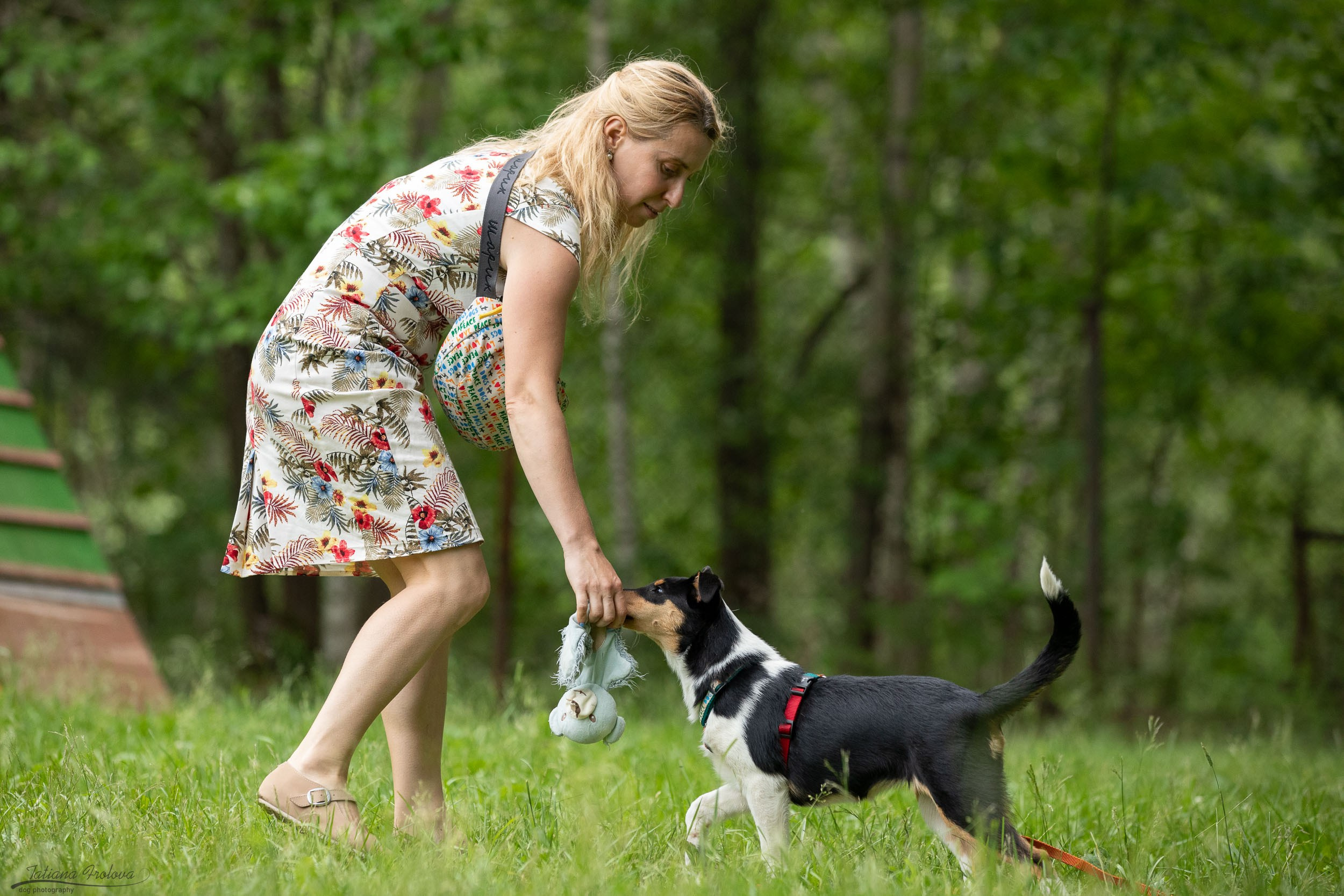 Репортаж с выводки молодняка колли/шелти в Ясенево. Фотограф-анималист в Москве и Московской области Татьяна Фролова