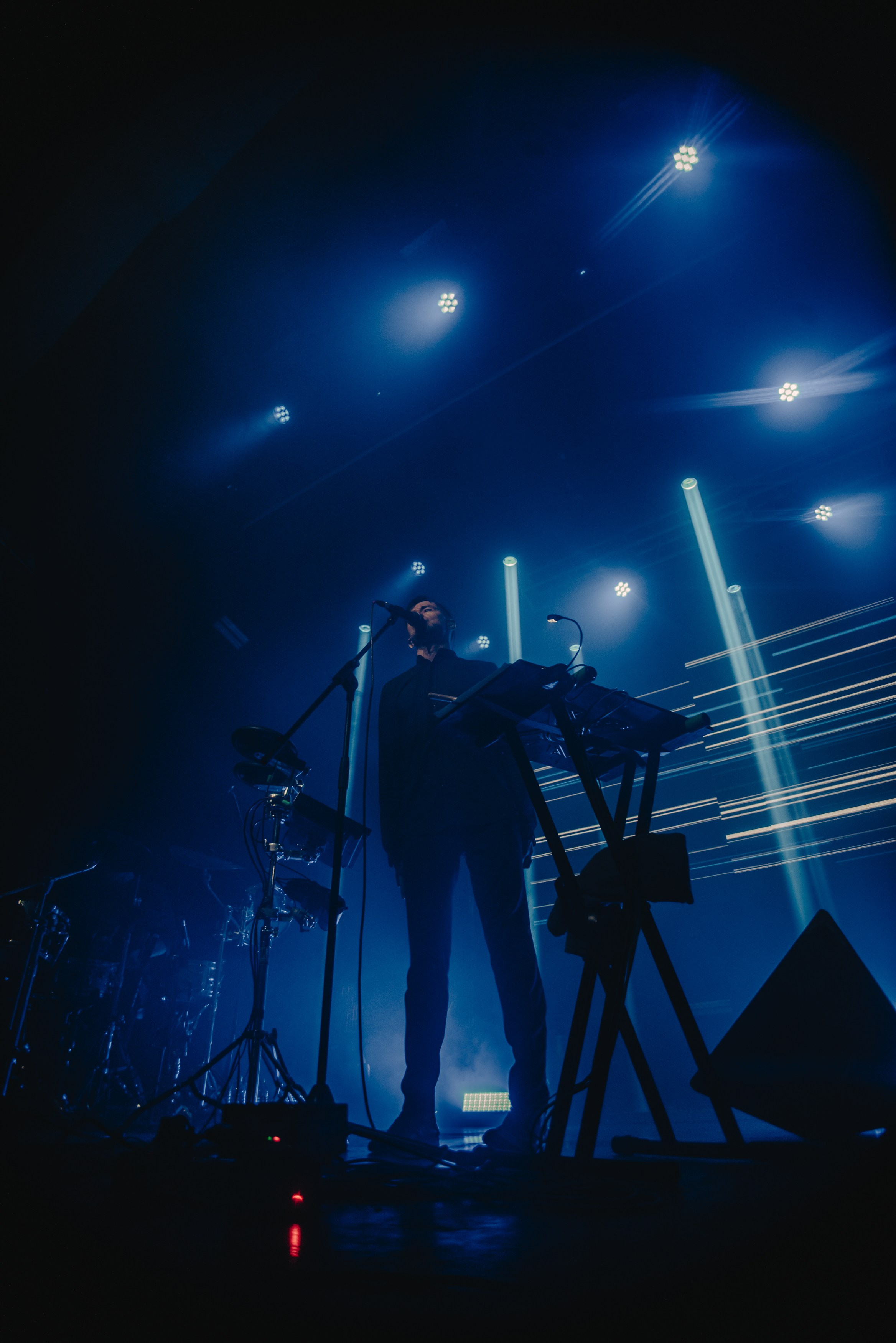 Дельфин | Gaudi. Контент фотограф Илья Урс