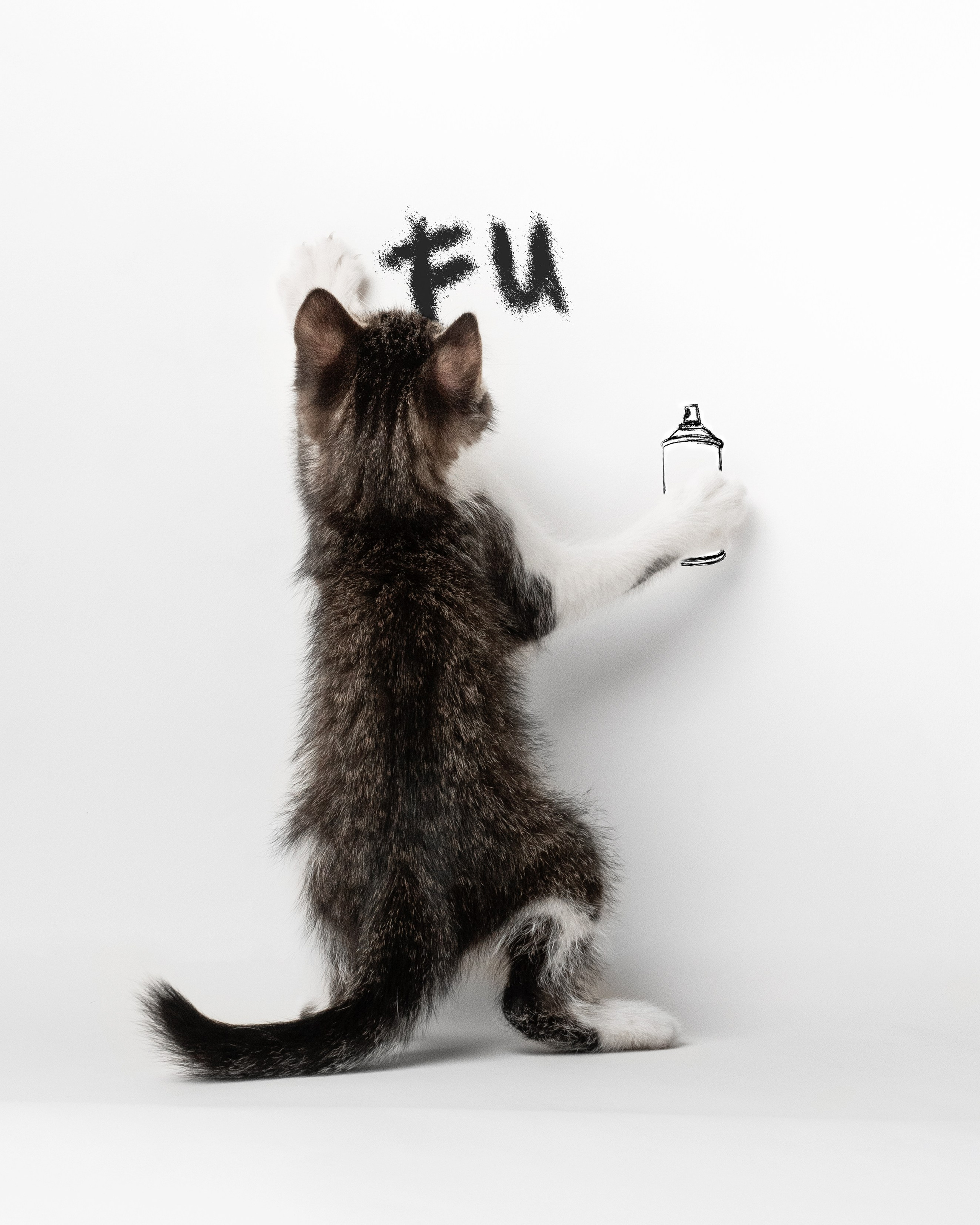 Домашняя съёмка. Фотограф животных и людей в Санкт-Петербурге Дарья Быстрицкая