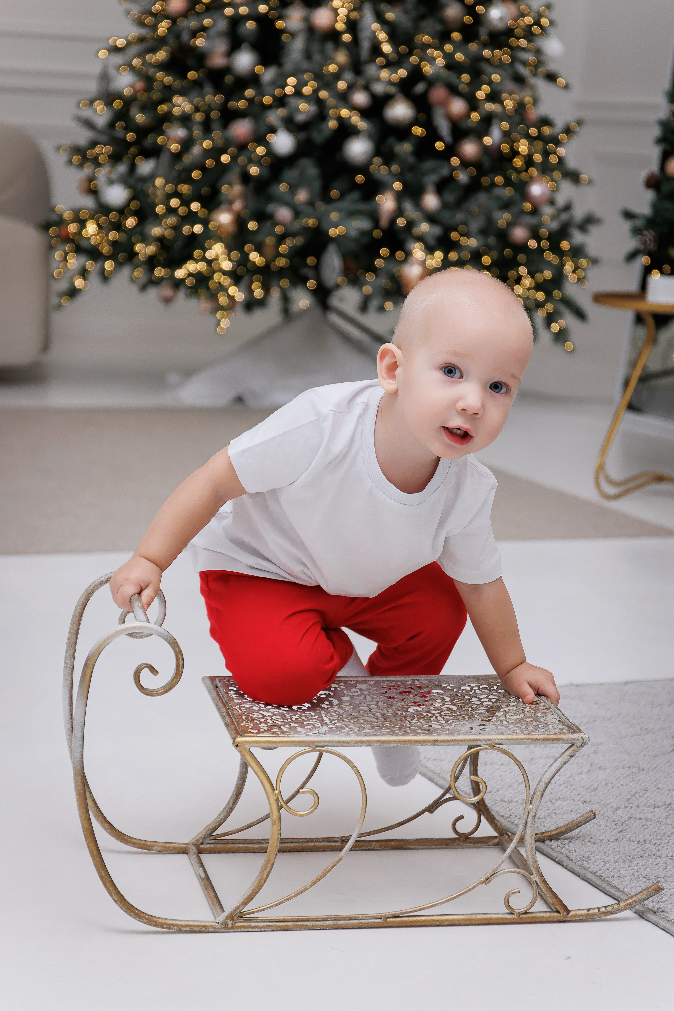 Новый год (Ноябрь 2023). Свадебный фотограф в Омске Яна Савина