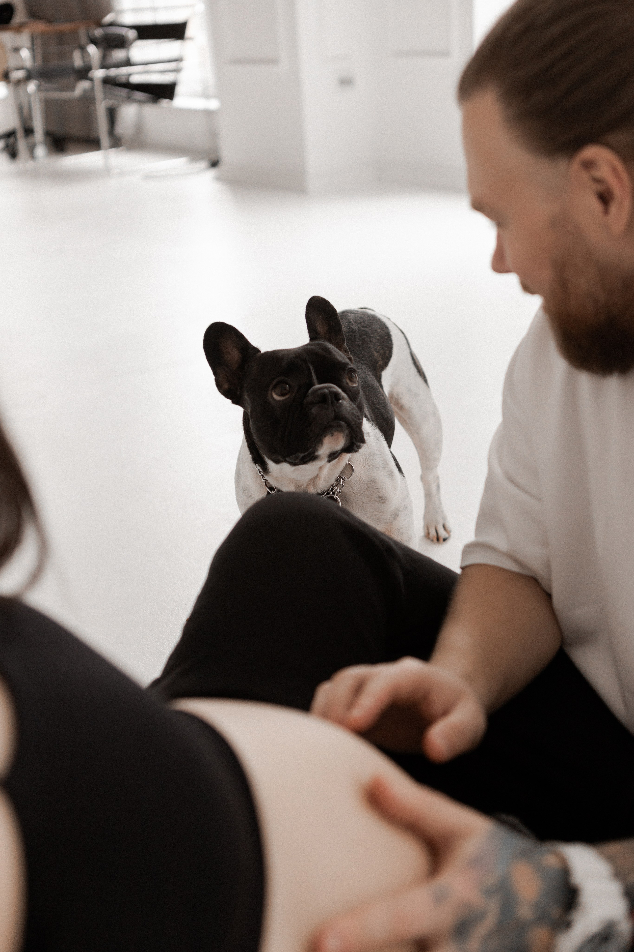 Таня, Паша и Луи. Свадебный фотограф в Воронеже Вероника Богай