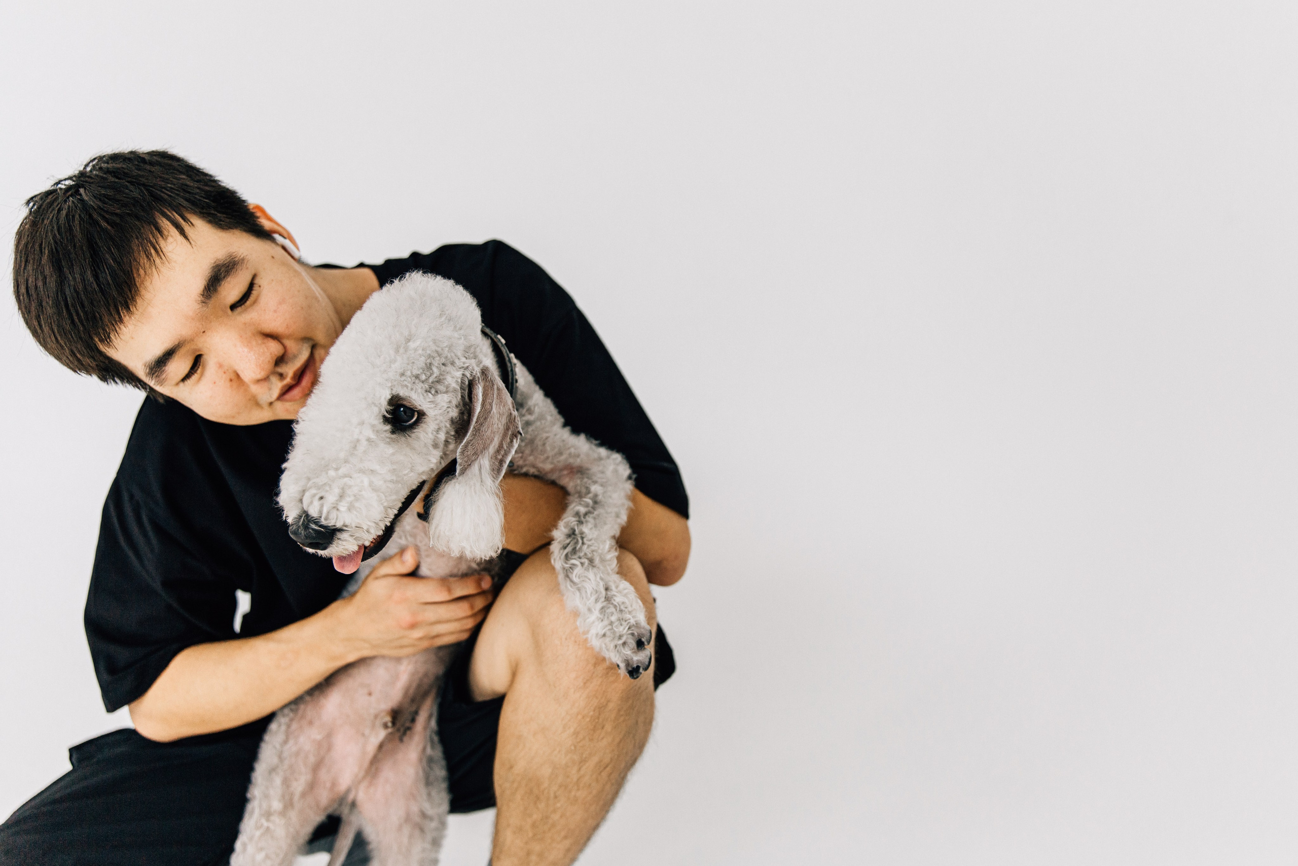 Лаборатория Канистерапии. Фотограф-анималист в Москве Соломонова Варвара