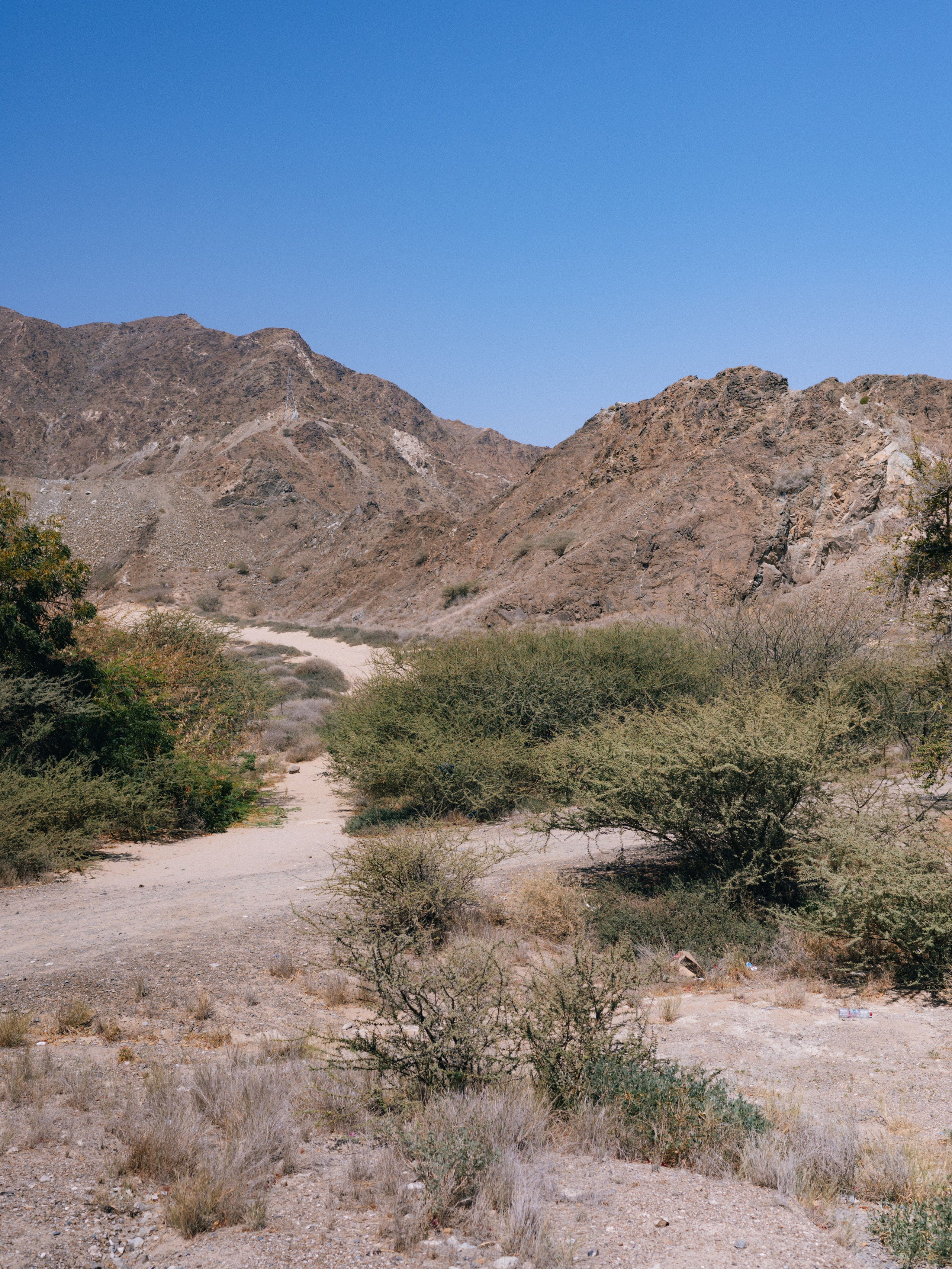 FUJEIRAH. Свадебный и семейный фотограф Никита Корохов