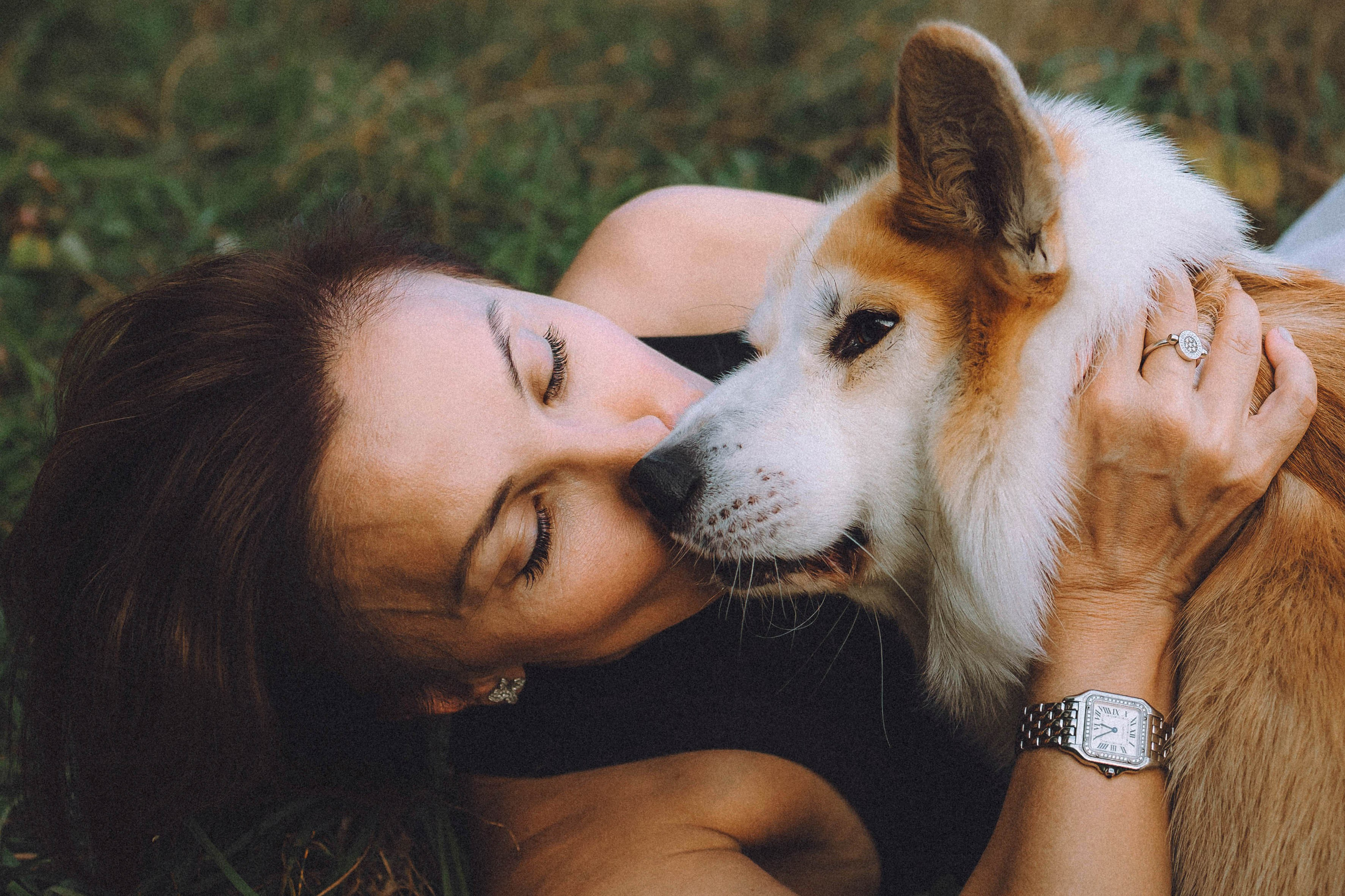 Арчи и его семья