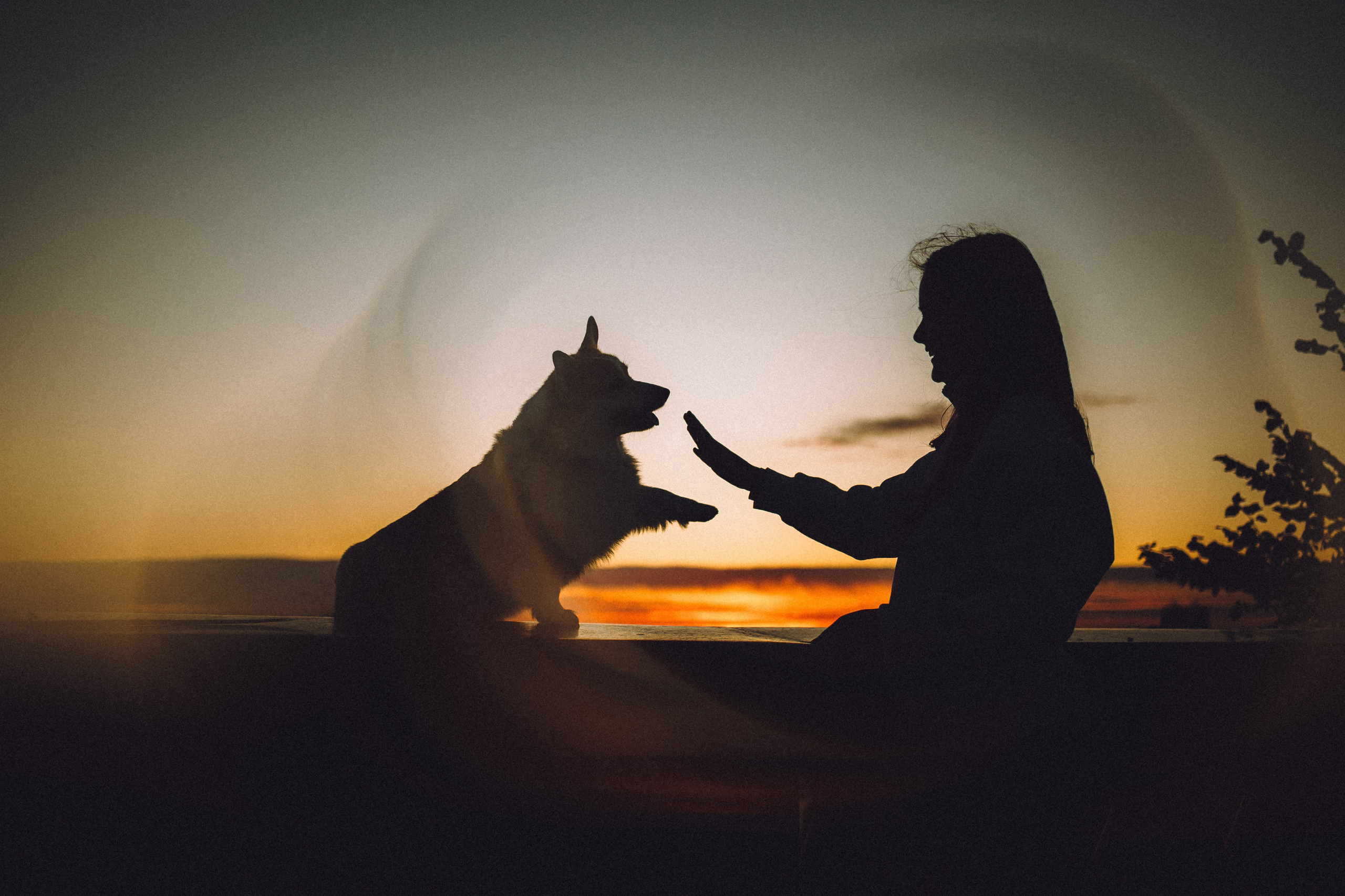 Пуговка и ее семья