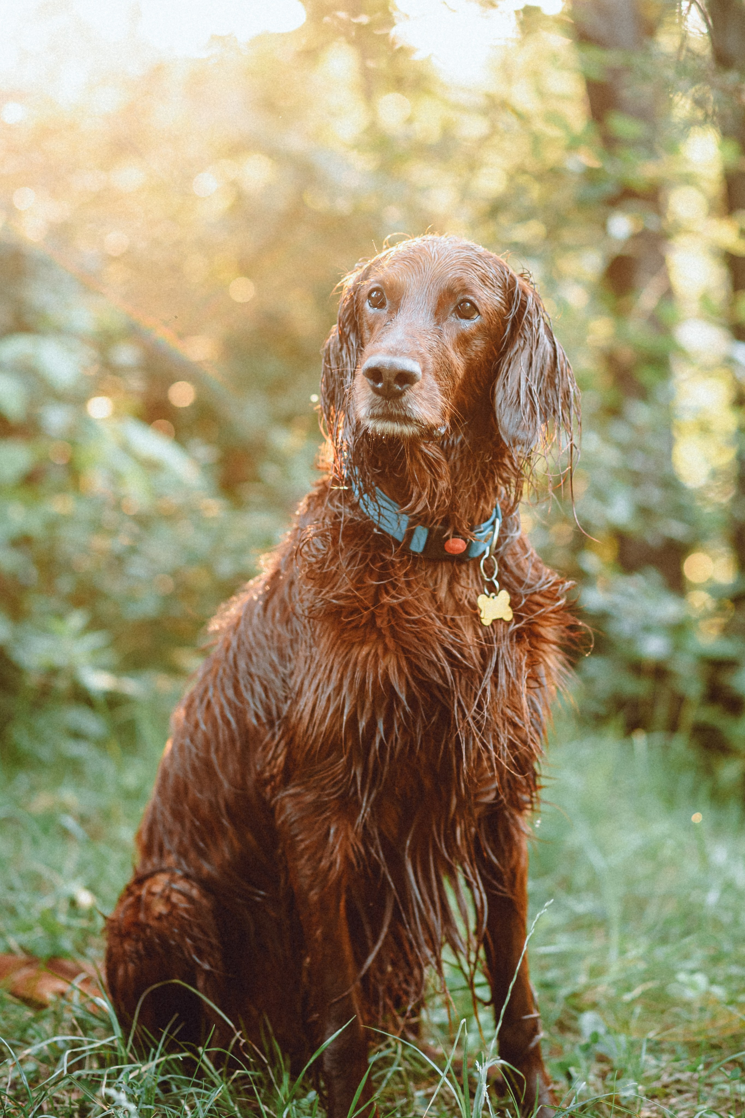 Маша и Джерри