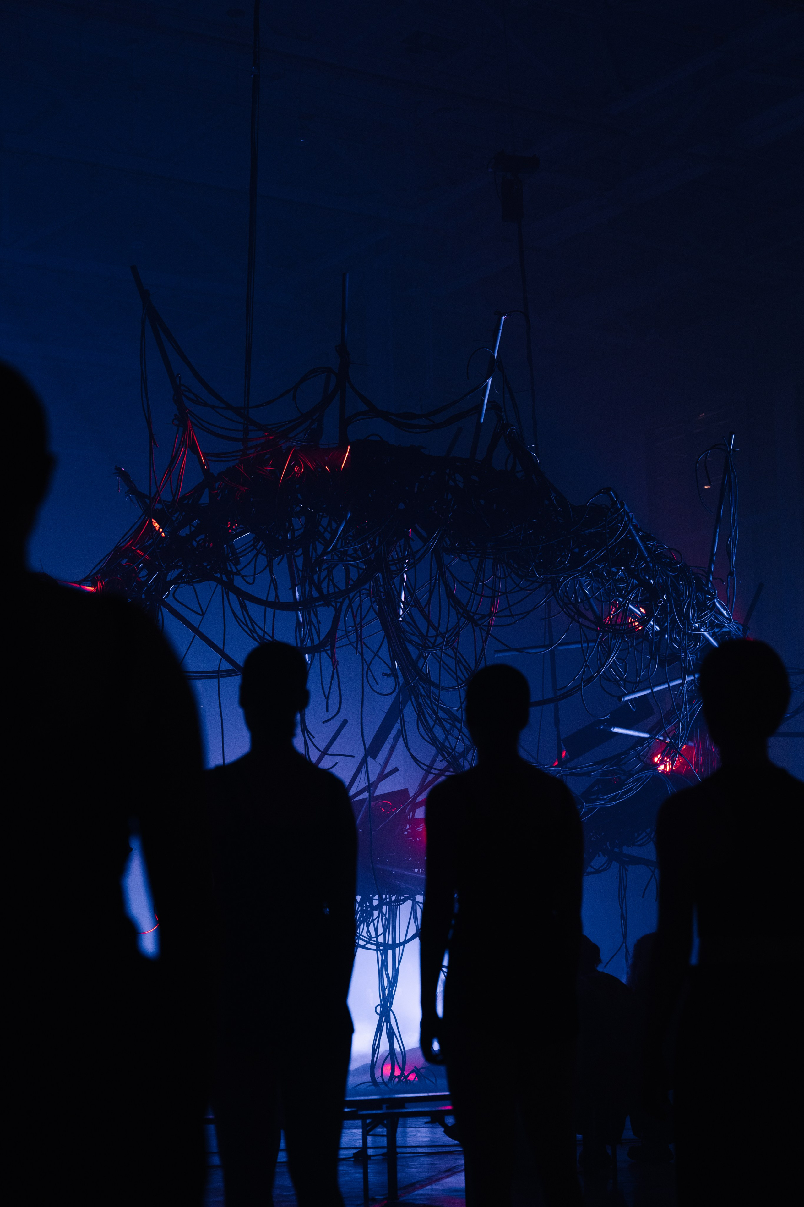 PERFORMA, The Hour of the Horse. @tomrus: Рустам Шагиморданов — фотограф