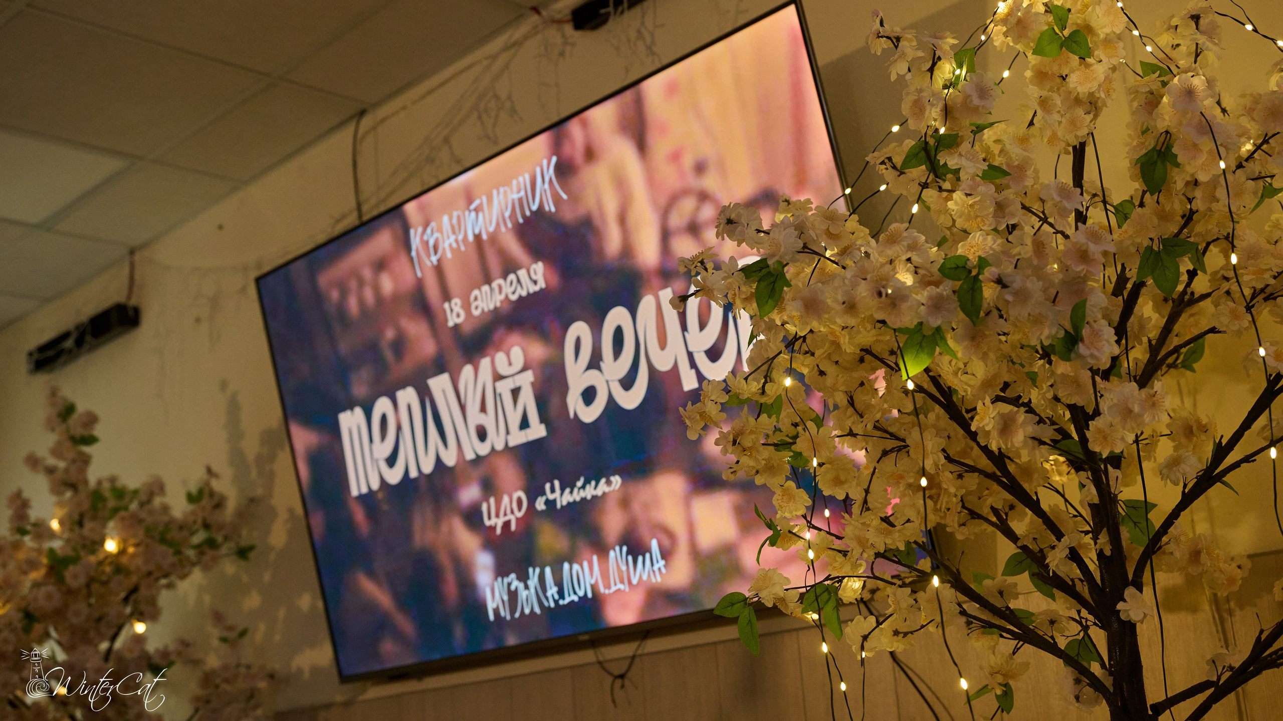 Тёплый Вечер (18.04.26 Чайка). Портретный и репортажный фотограф в Магадане Андрей Нефедов WinterCatPhoto