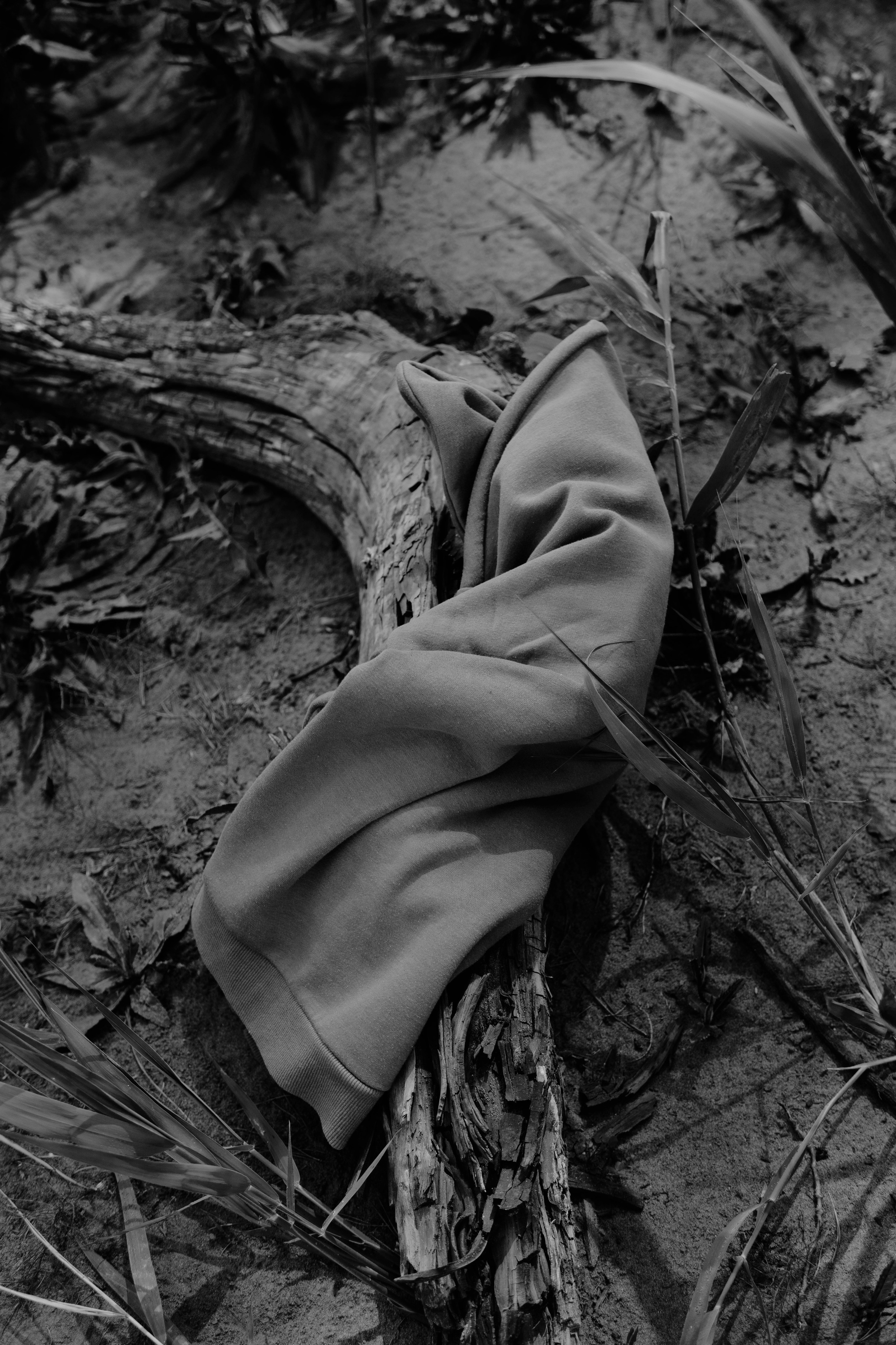 Capoeira Camp. Фотограф Киров Токарева Марина