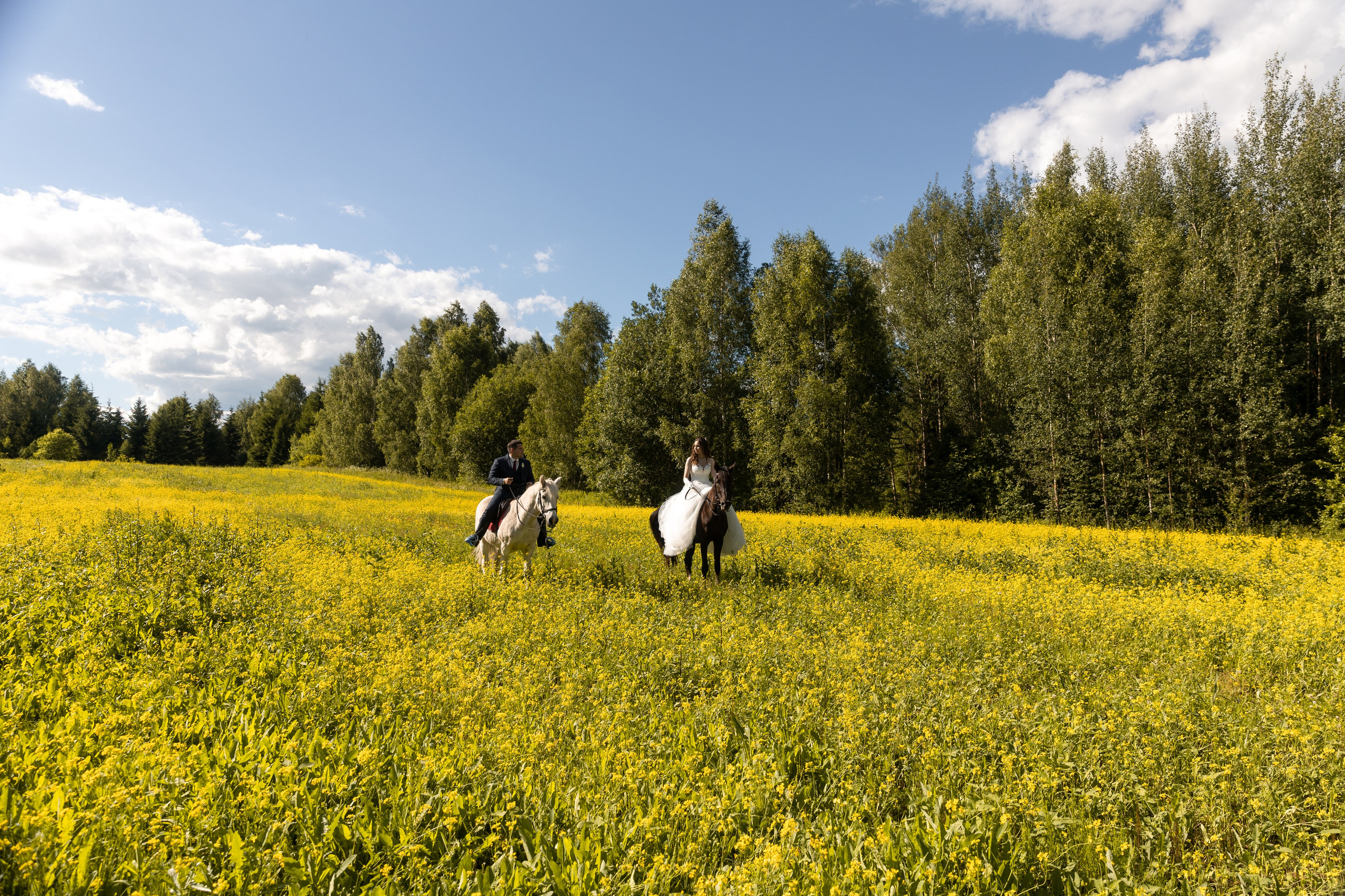 Свадьба и лошади. Свадебный и семейный фотограф Москва и Московская область