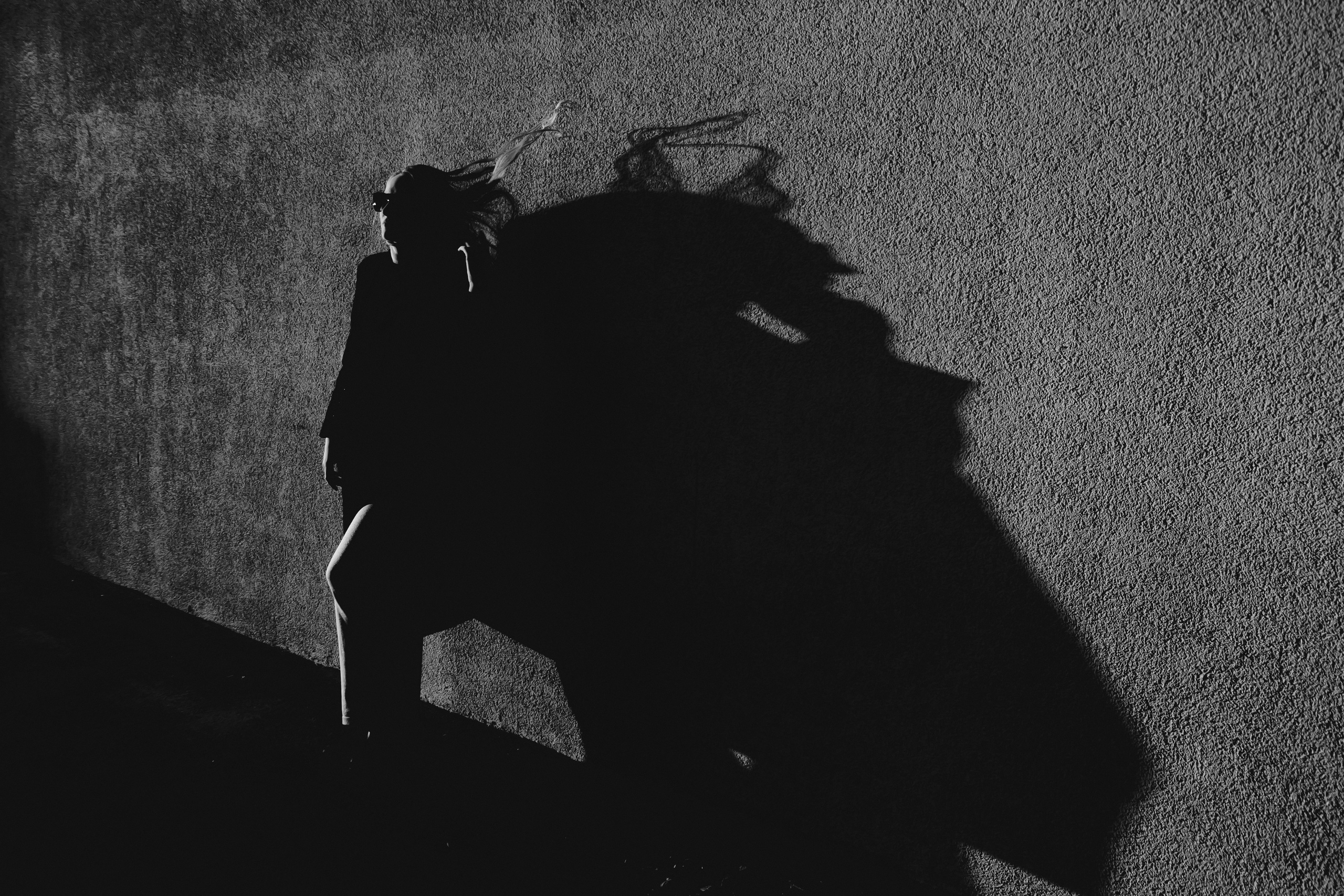 Елена. Дмитрий Пропадалин, Нейрофотография