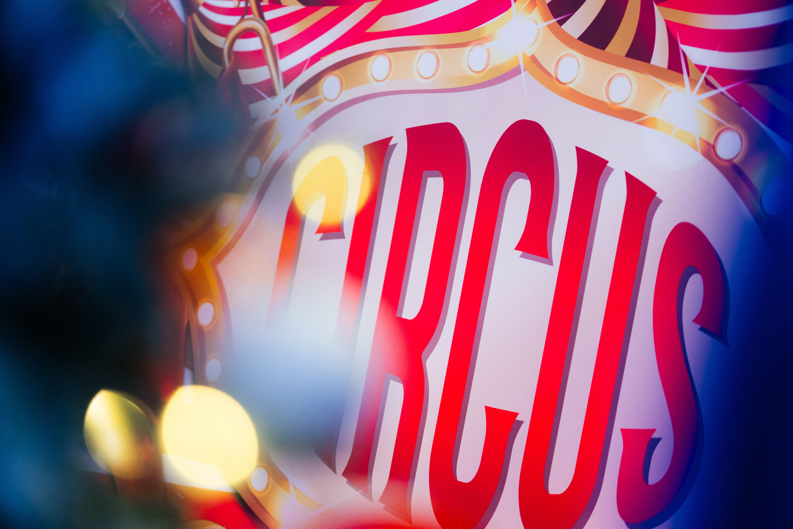 Корпоратив Цирк. Свадебный фотограф Минск РБ