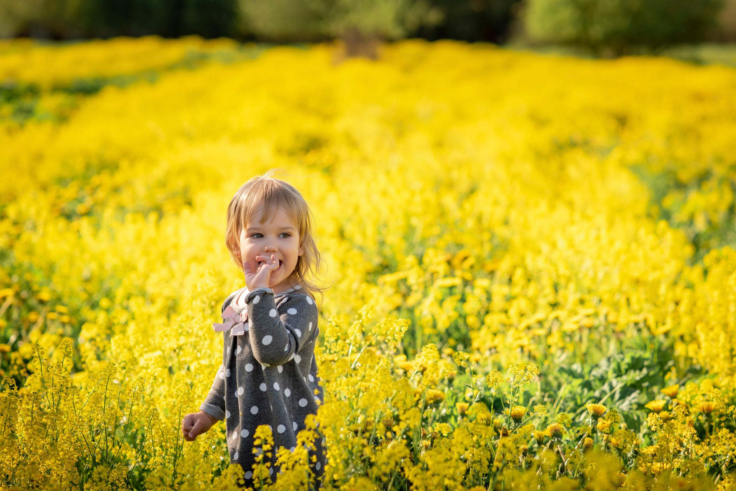 Фотосессии в цветении. Свадебный и семейный фотограф Полина Малюкова Москва, Химки, Зеленоград